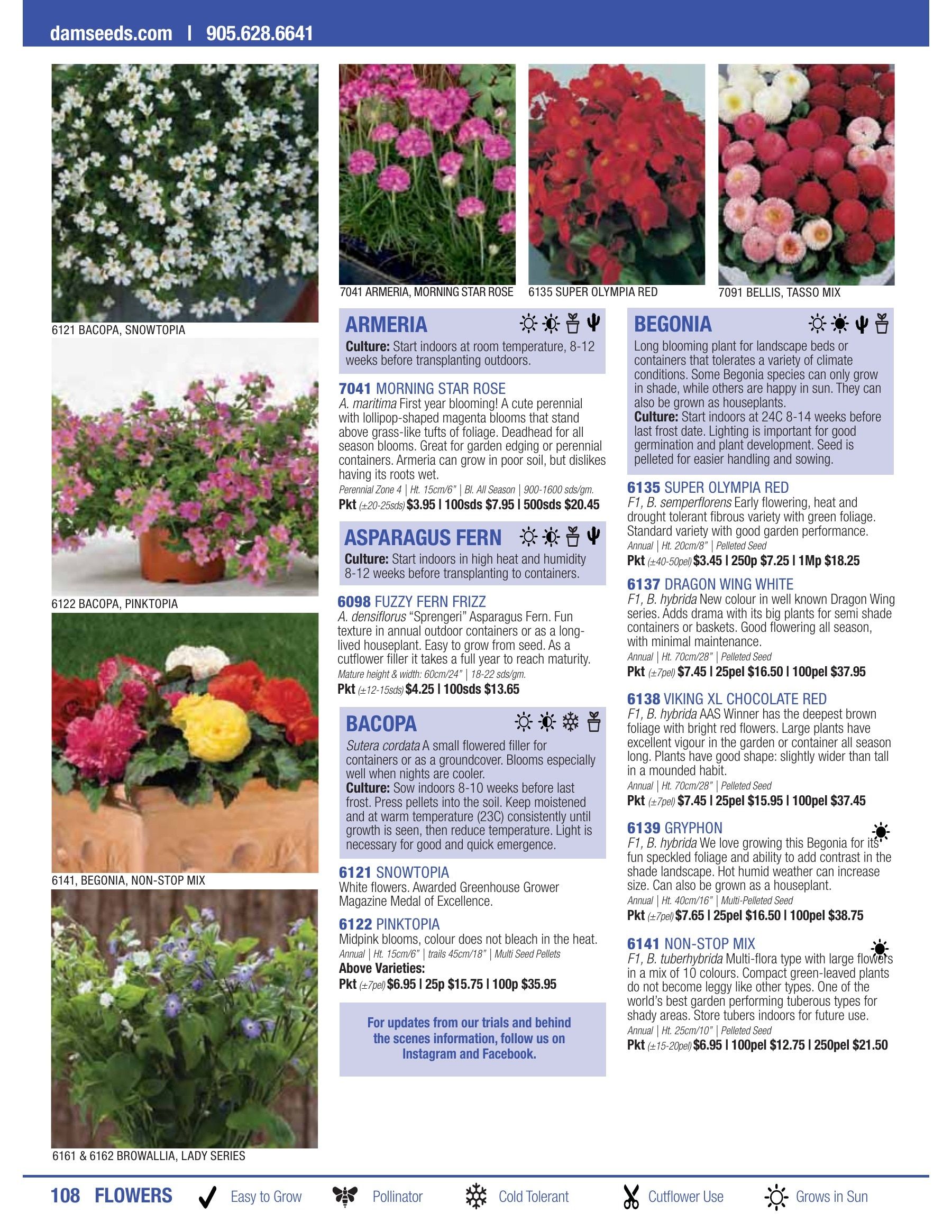 William Dam Seeds Annual Catalog Flyer January 1 - October 31, 2026