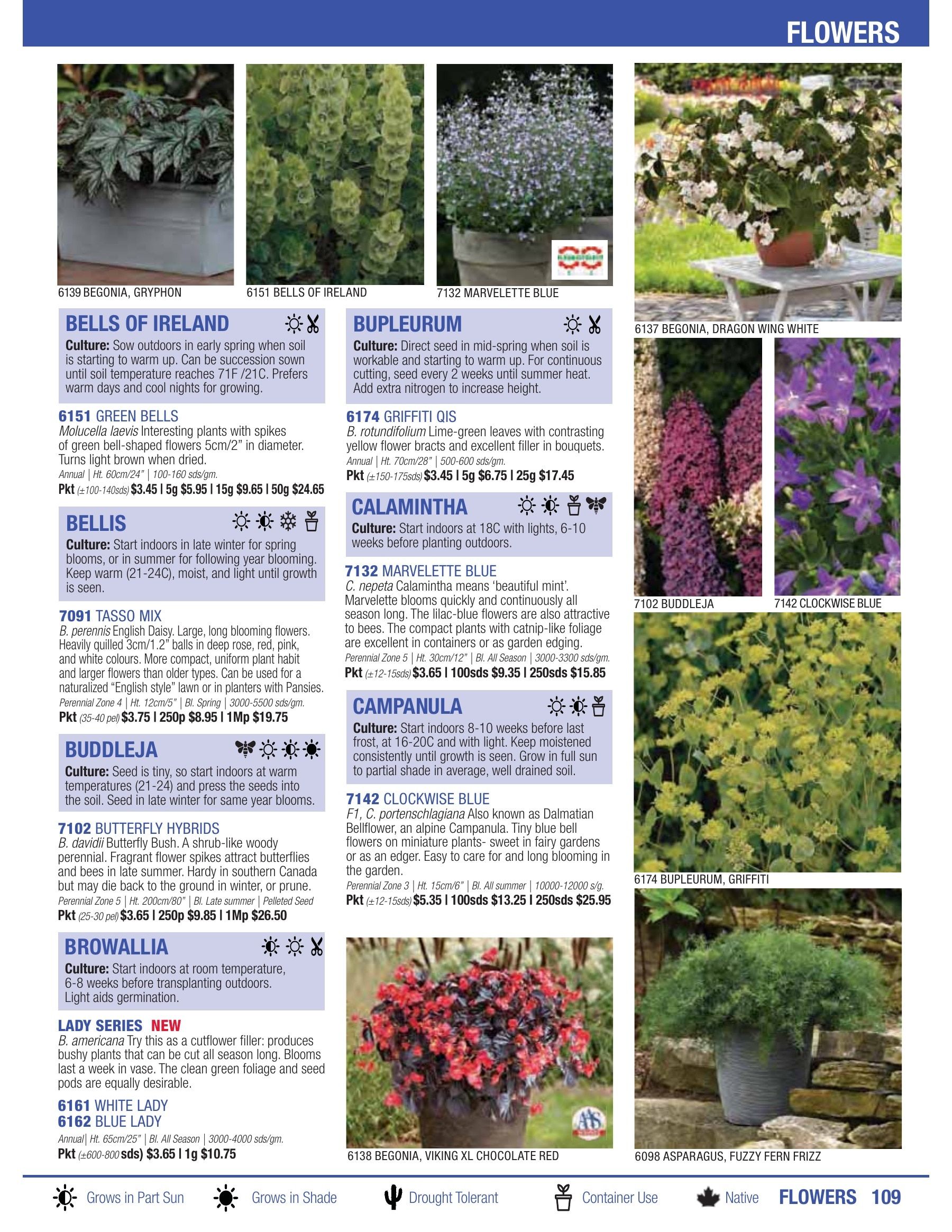 William Dam Seeds Annual Catalog Flyer January 1 - October 31, 2026