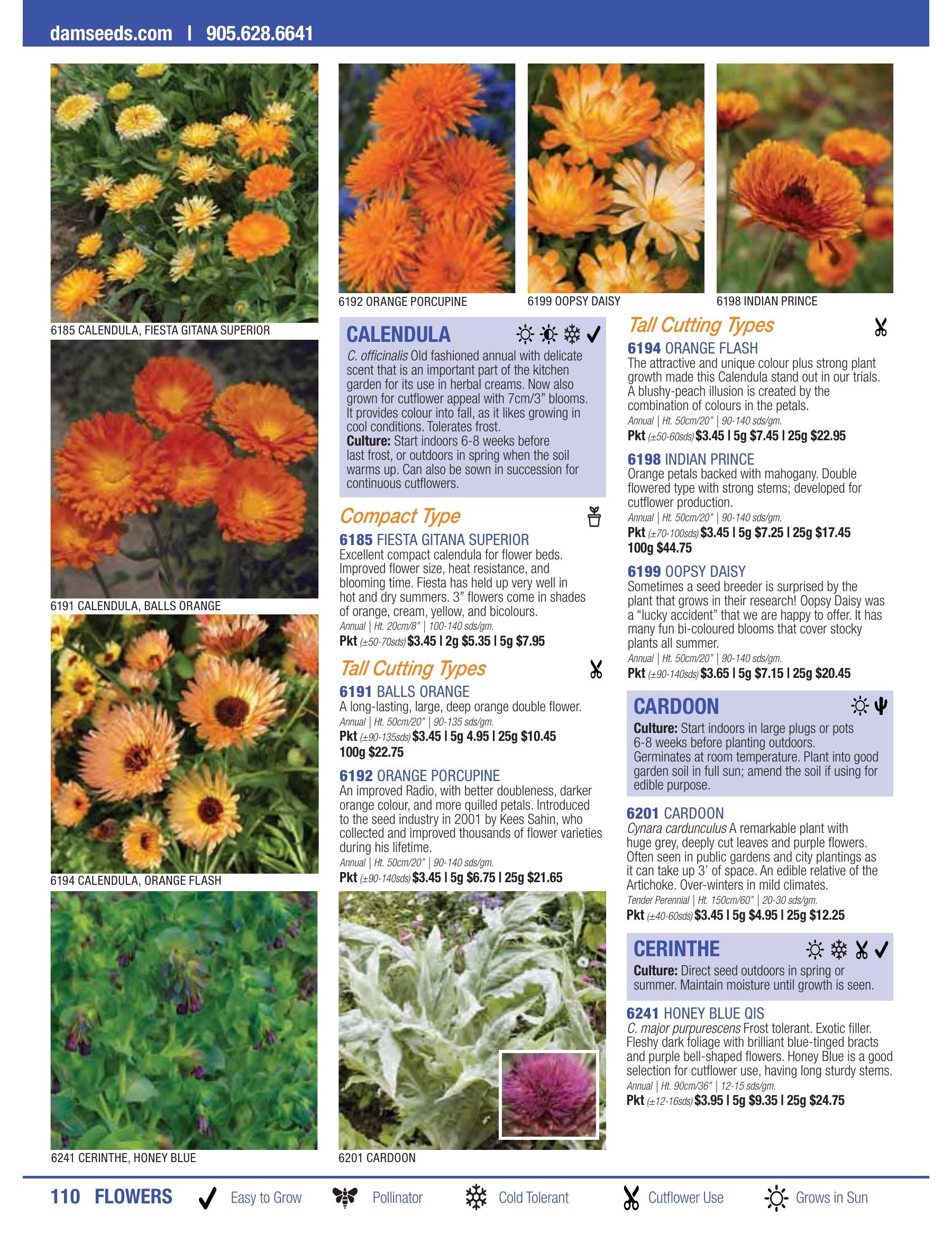 William Dam Seeds Annual Catalog Flyer January 1 - October 31, 2026