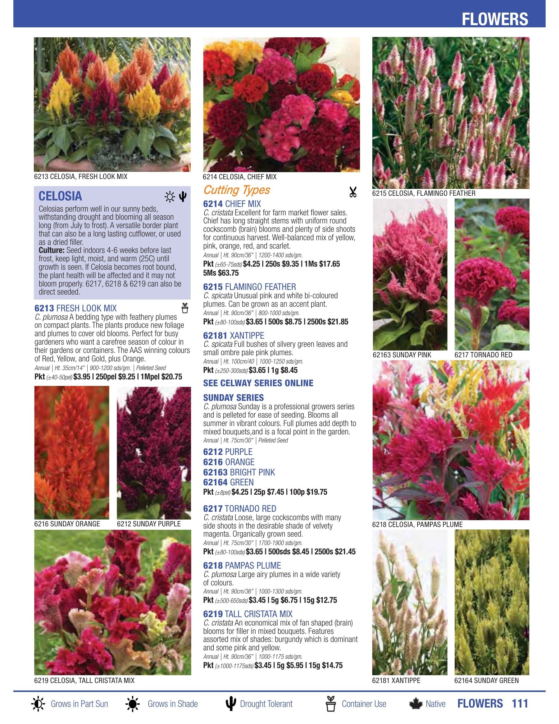 William Dam Seeds Annual Catalog Flyer January 1 - October 31, 2026