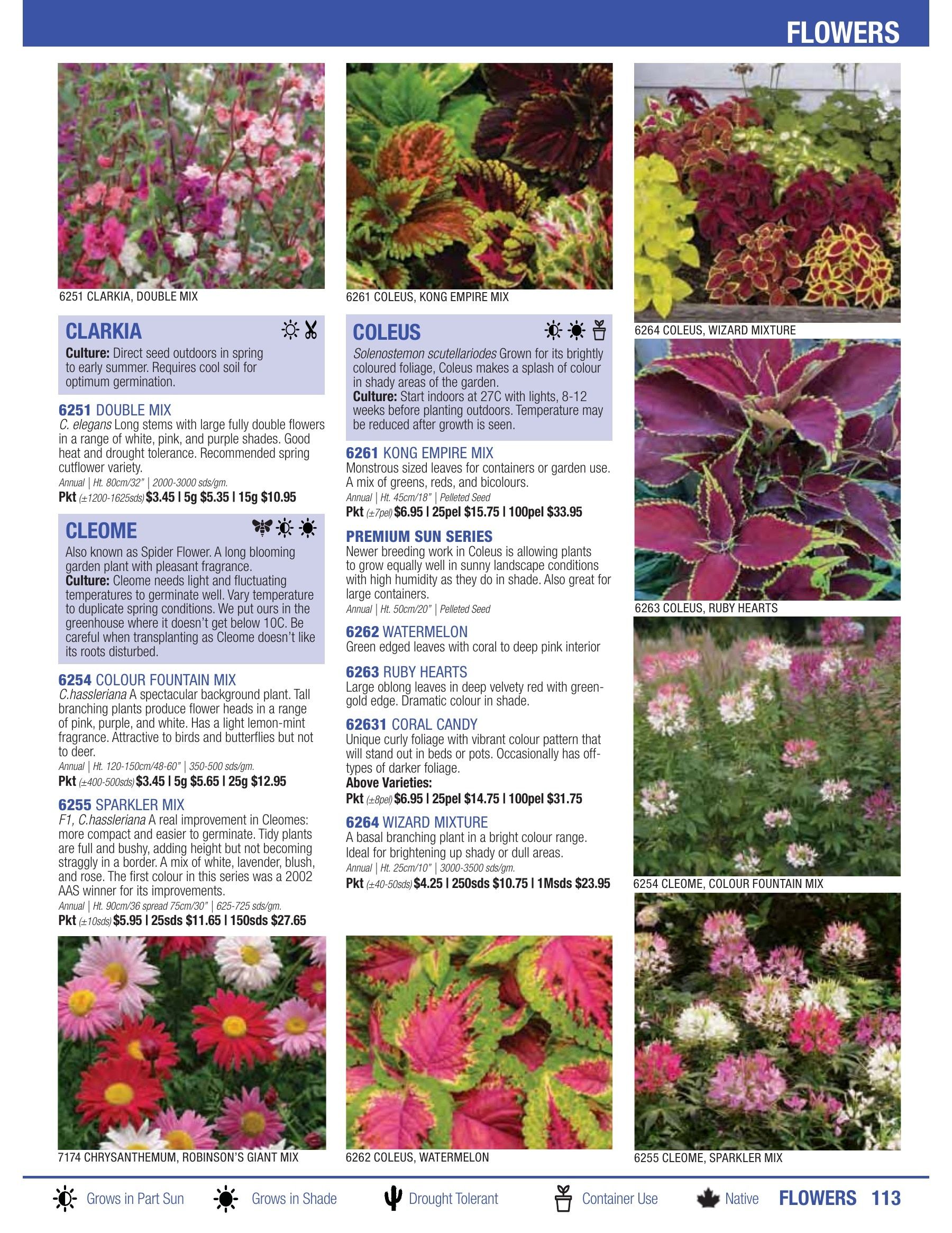 William Dam Seeds Annual Catalog Flyer January 1 - October 31, 2026