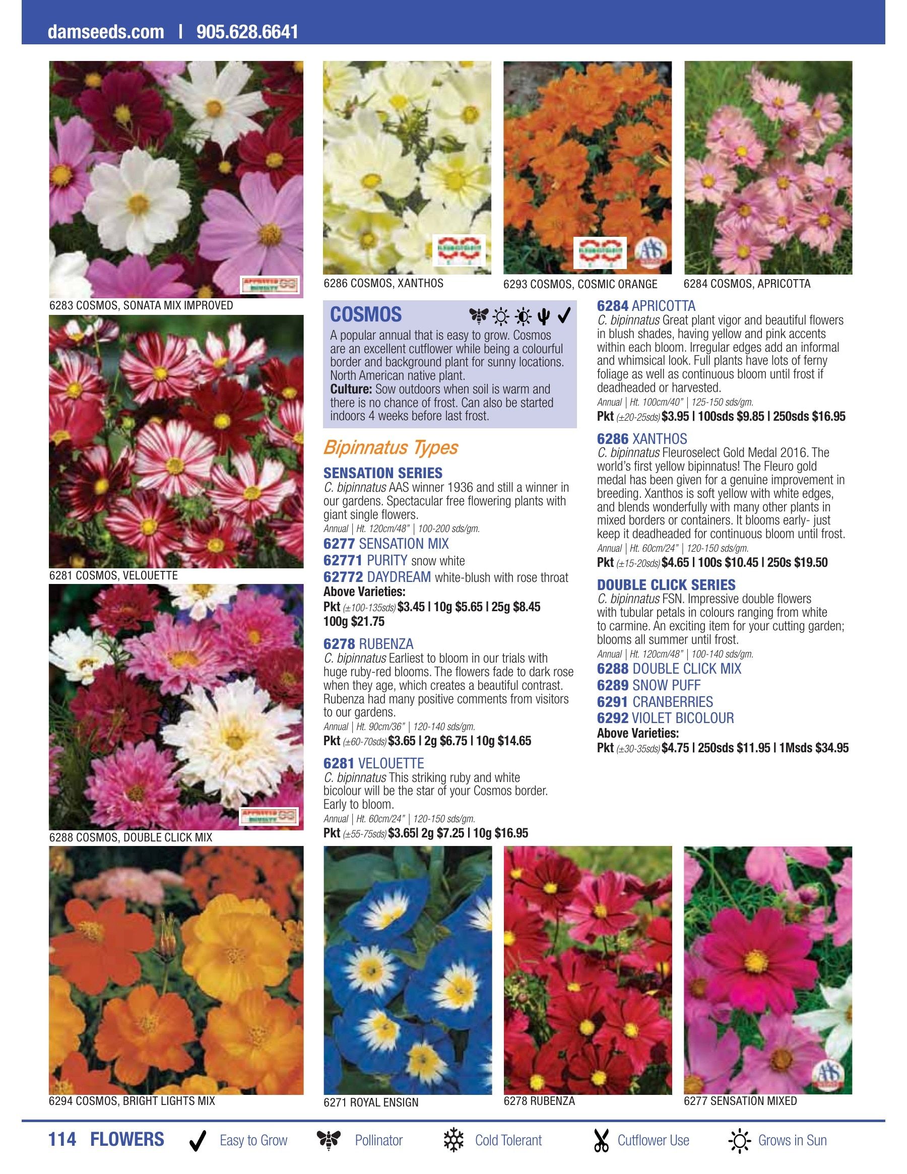 William Dam Seeds Annual Catalog Flyer January 1 - October 31, 2026