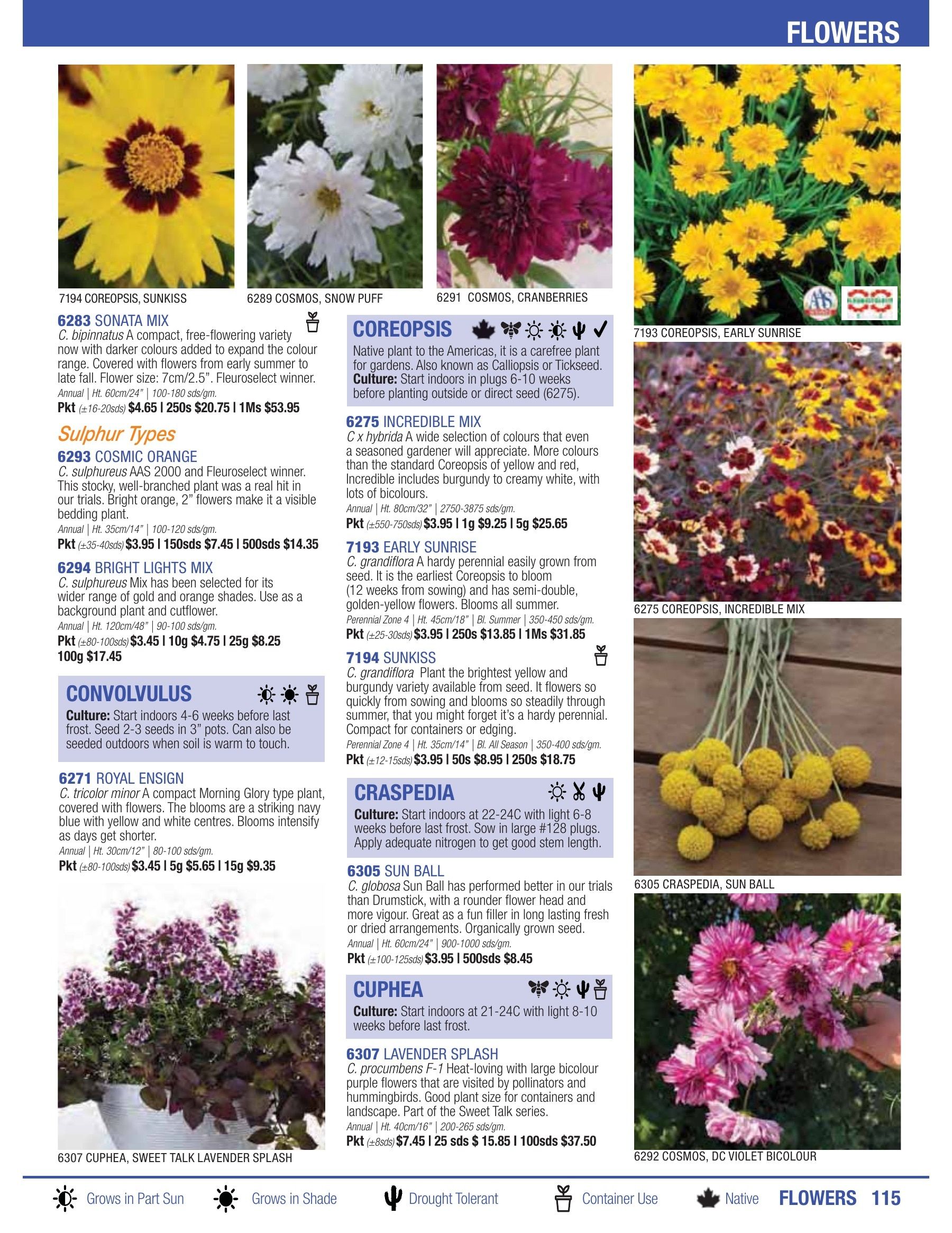 William Dam Seeds Annual Catalog Flyer January 1 - October 31, 2026