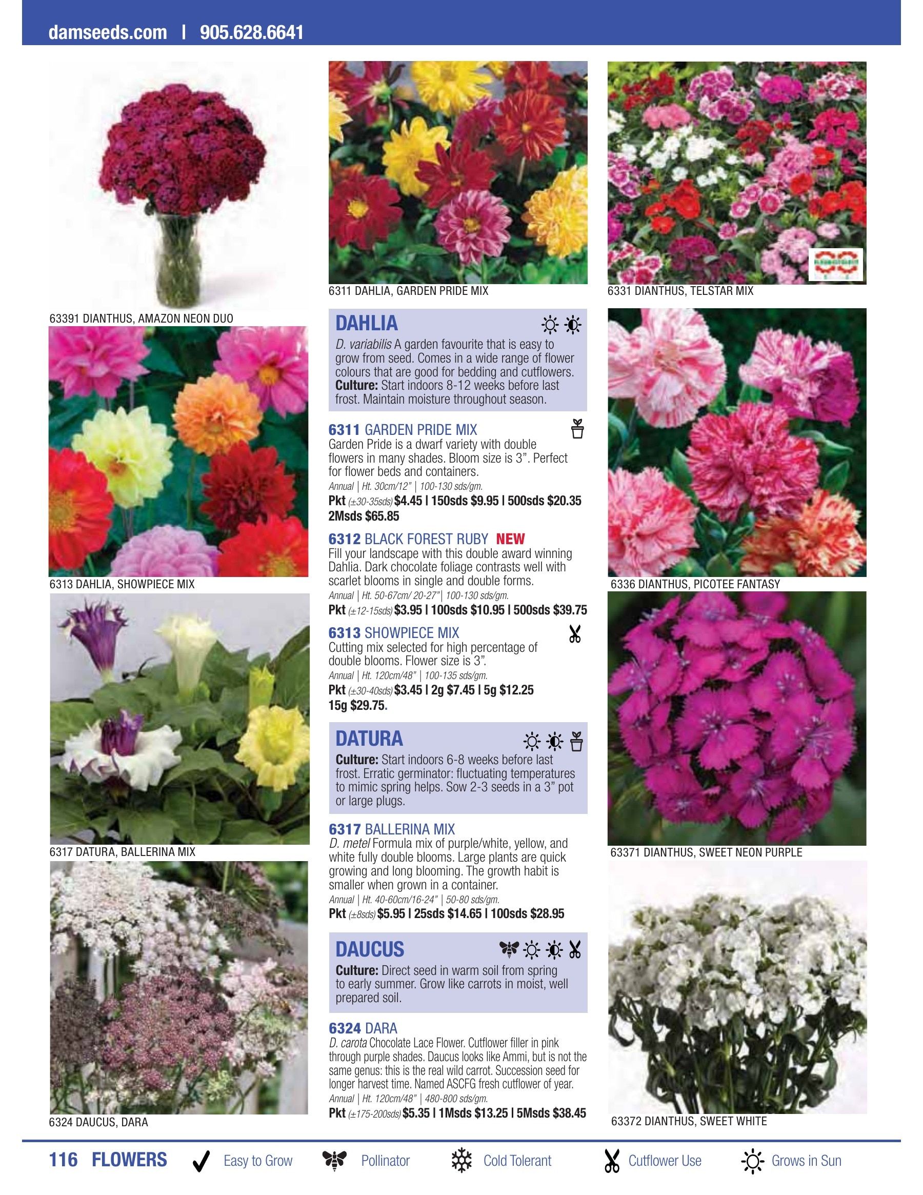William Dam Seeds Annual Catalog Flyer January 1 - October 31, 2026