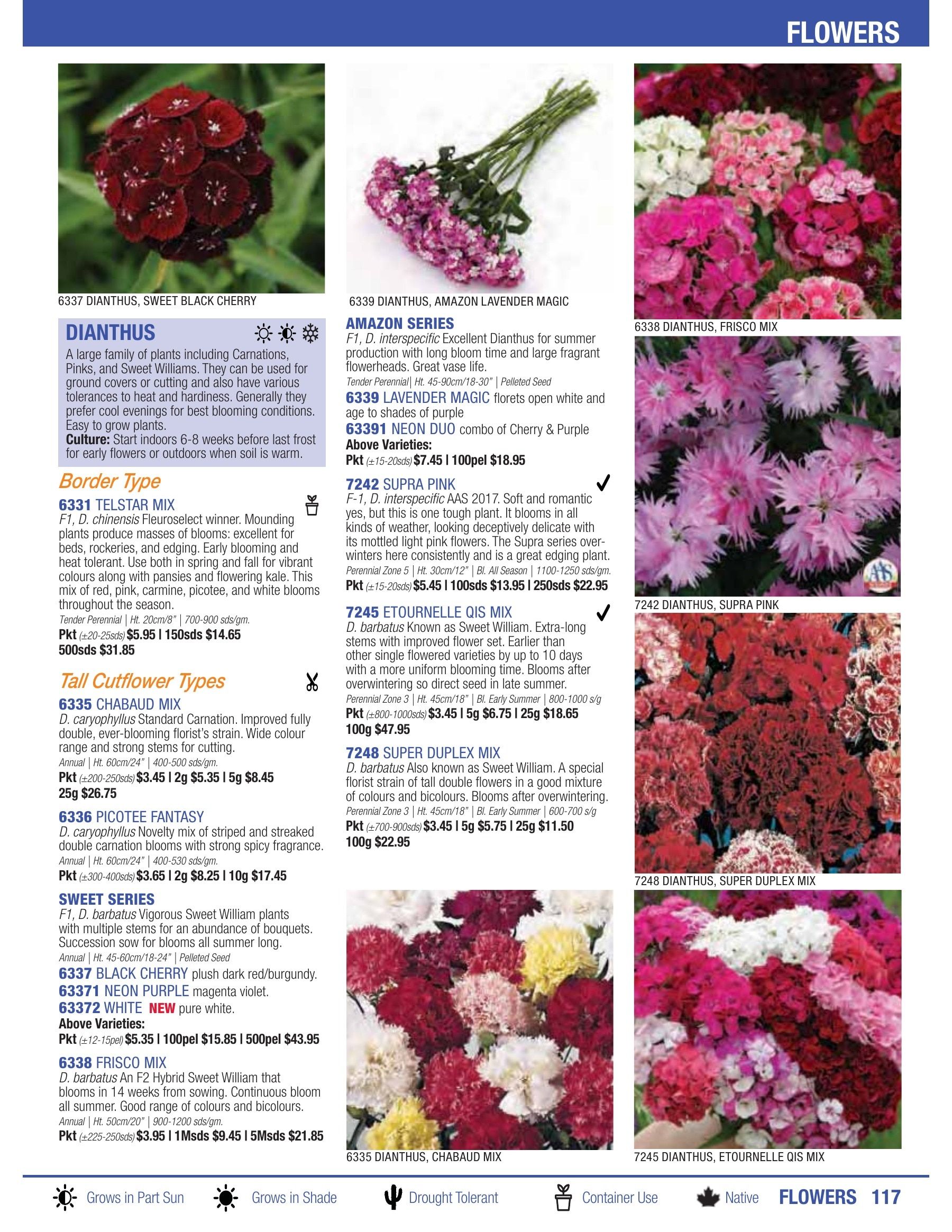 William Dam Seeds Annual Catalog Flyer January 1 - October 31, 2026