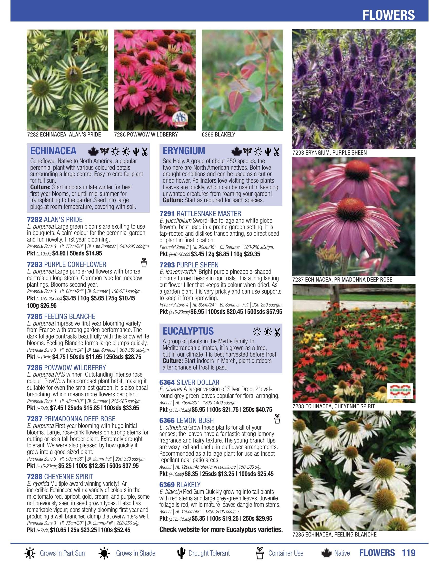 William Dam Seeds Annual Catalog Flyer January 1 - October 31, 2026