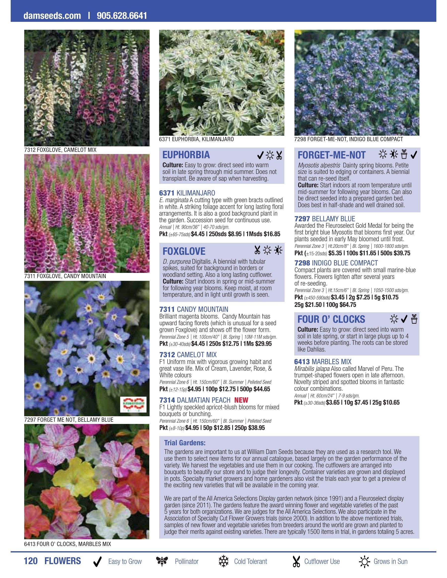William Dam Seeds Annual Catalog Flyer January 1 - October 31, 2026