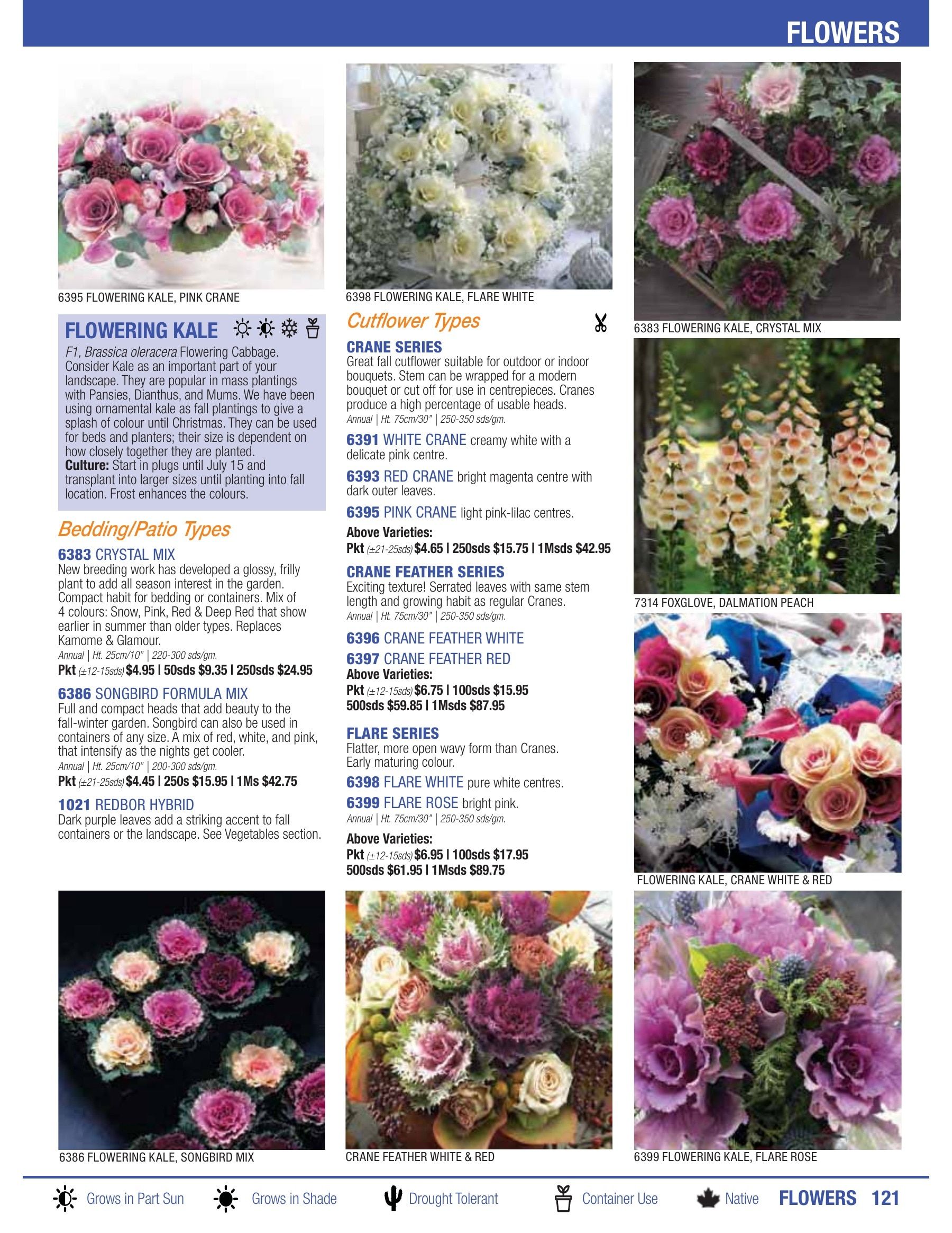 William Dam Seeds Annual Catalog Flyer January 1 - October 31, 2026