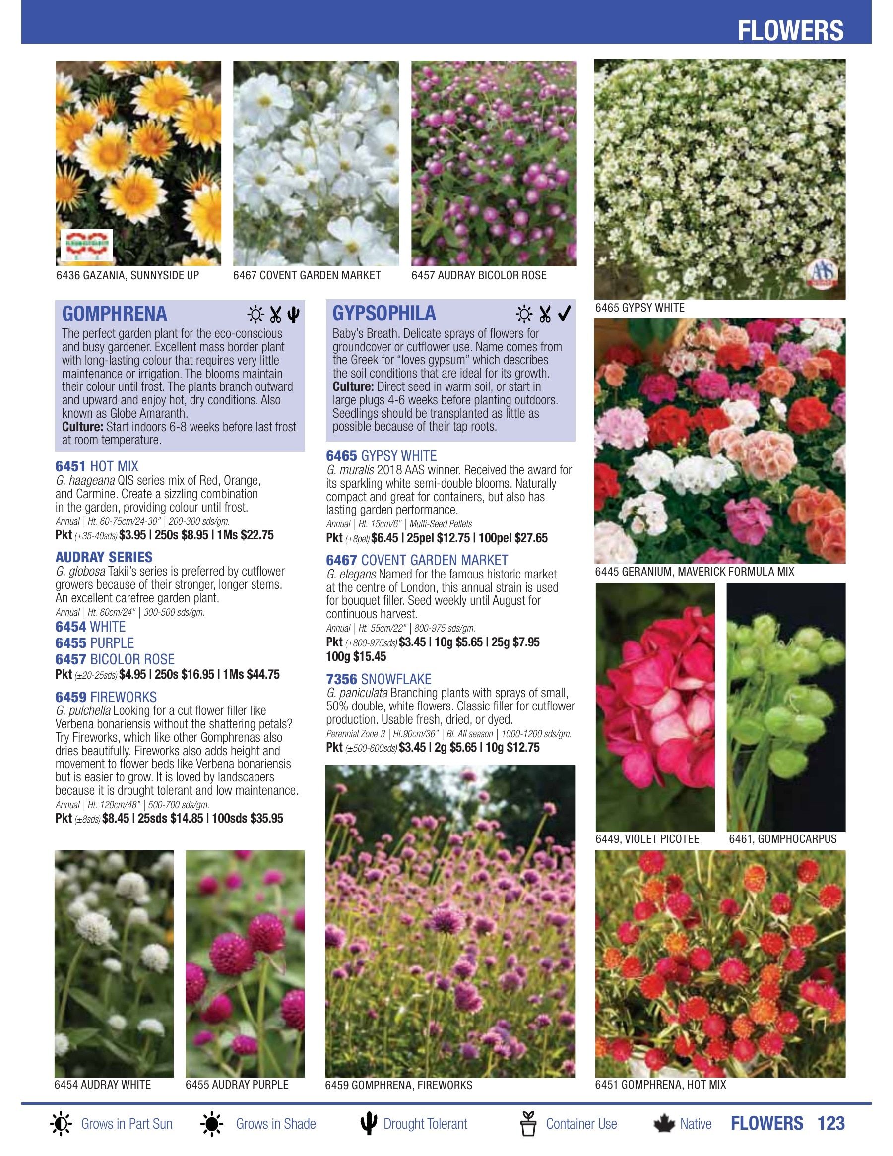 William Dam Seeds Annual Catalog Flyer January 1 - October 31, 2026