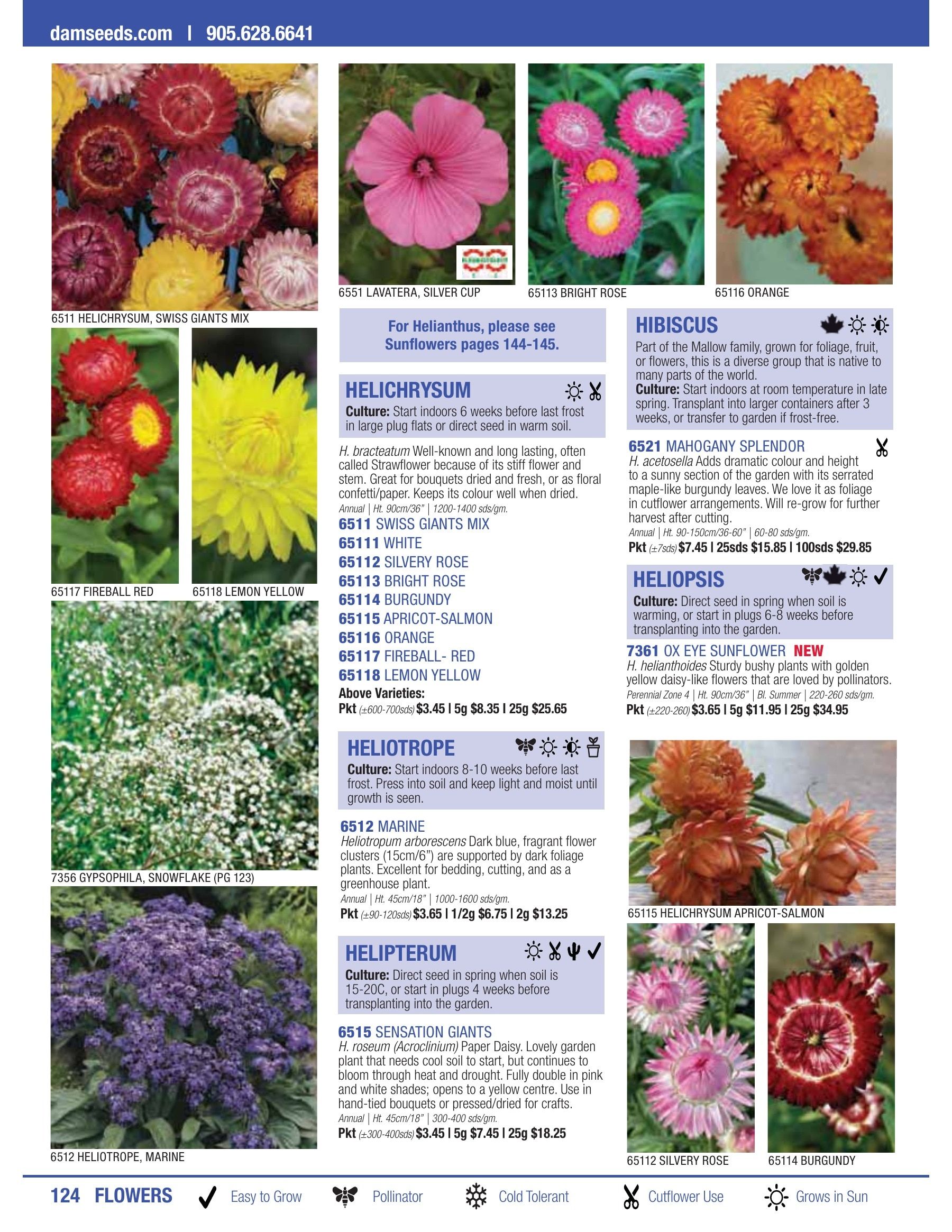 William Dam Seeds Annual Catalog Flyer January 1 - October 31, 2026