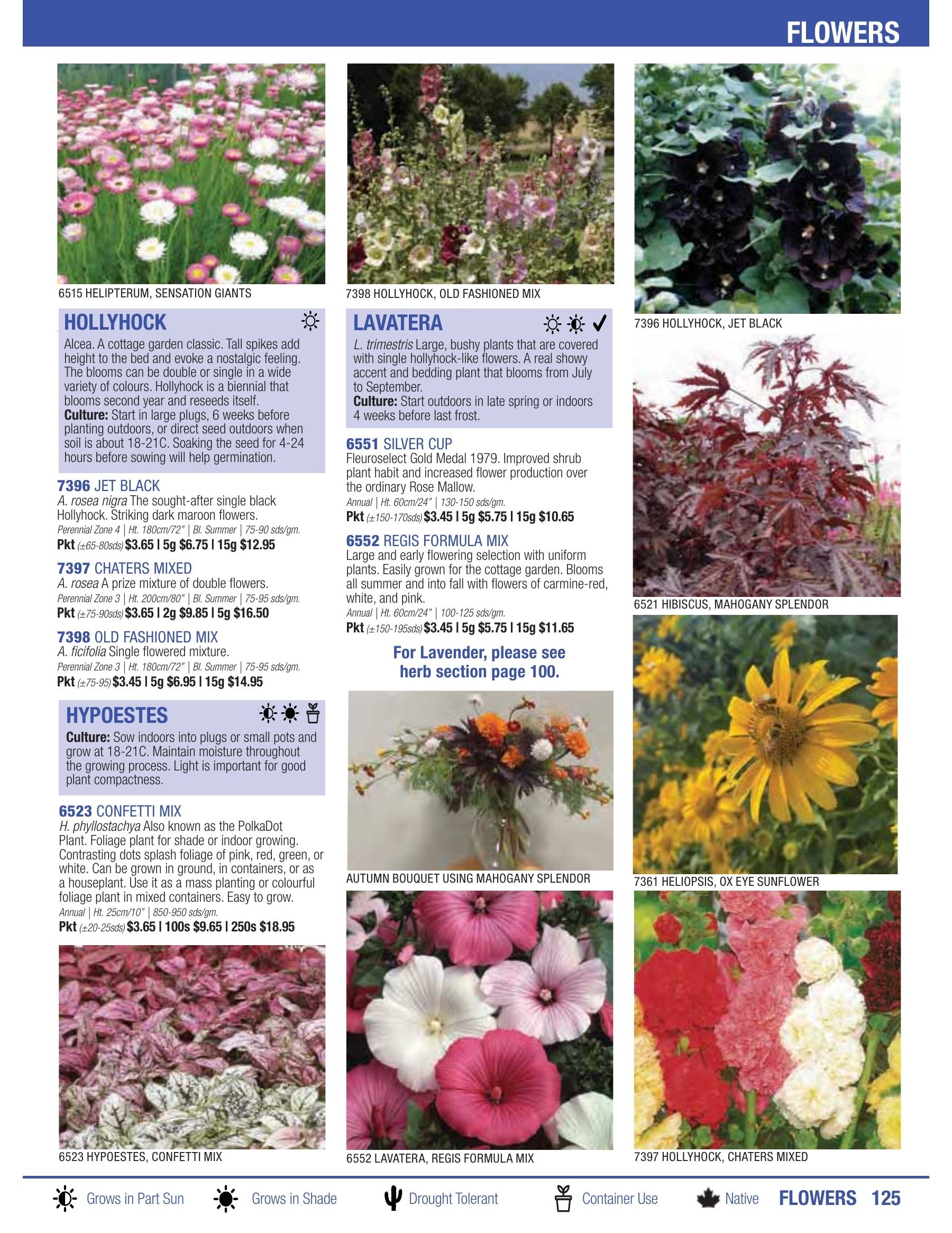 William Dam Seeds Annual Catalog Flyer January 1 - October 31, 2026
