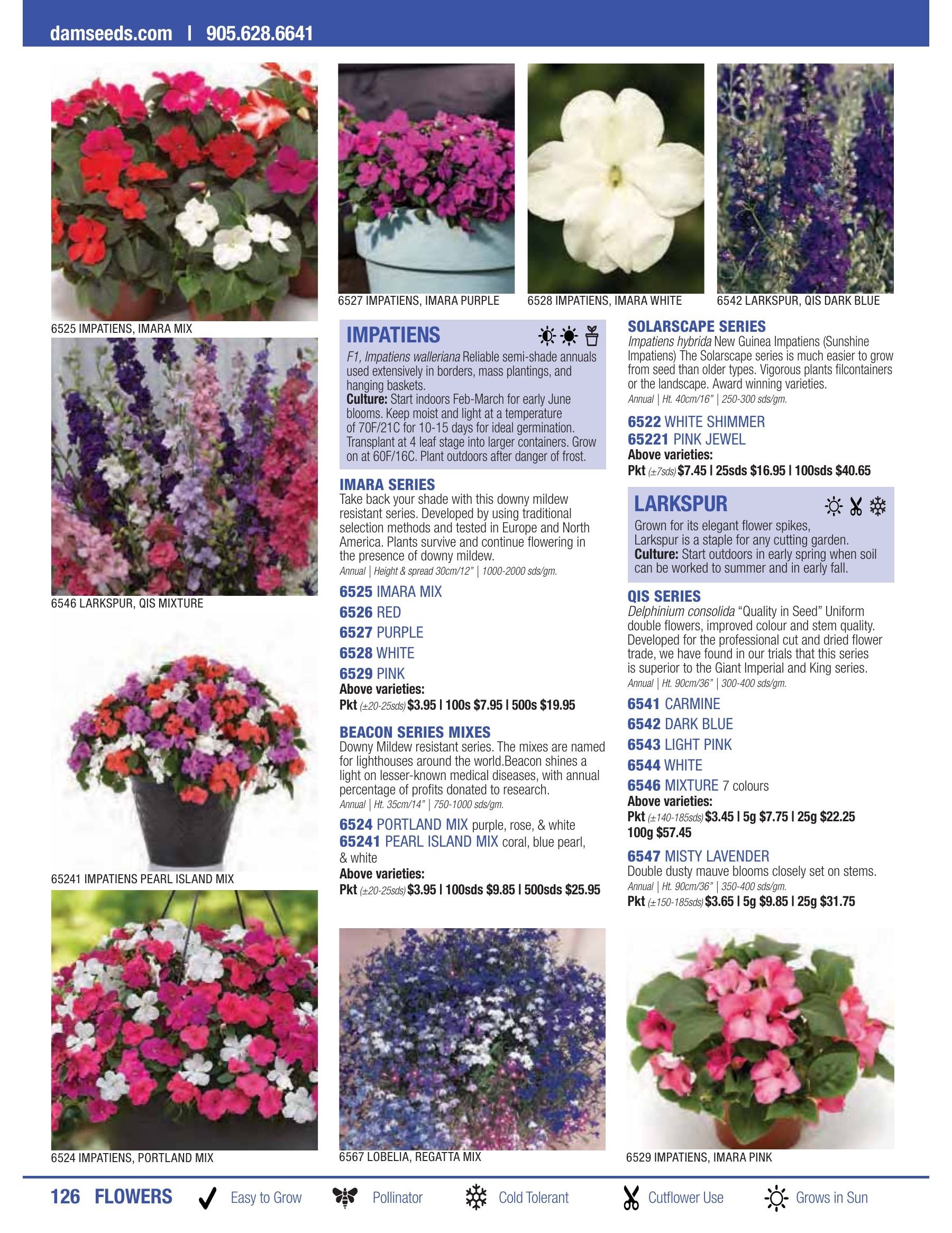 William Dam Seeds Annual Catalog Flyer January 1 - October 31, 2026