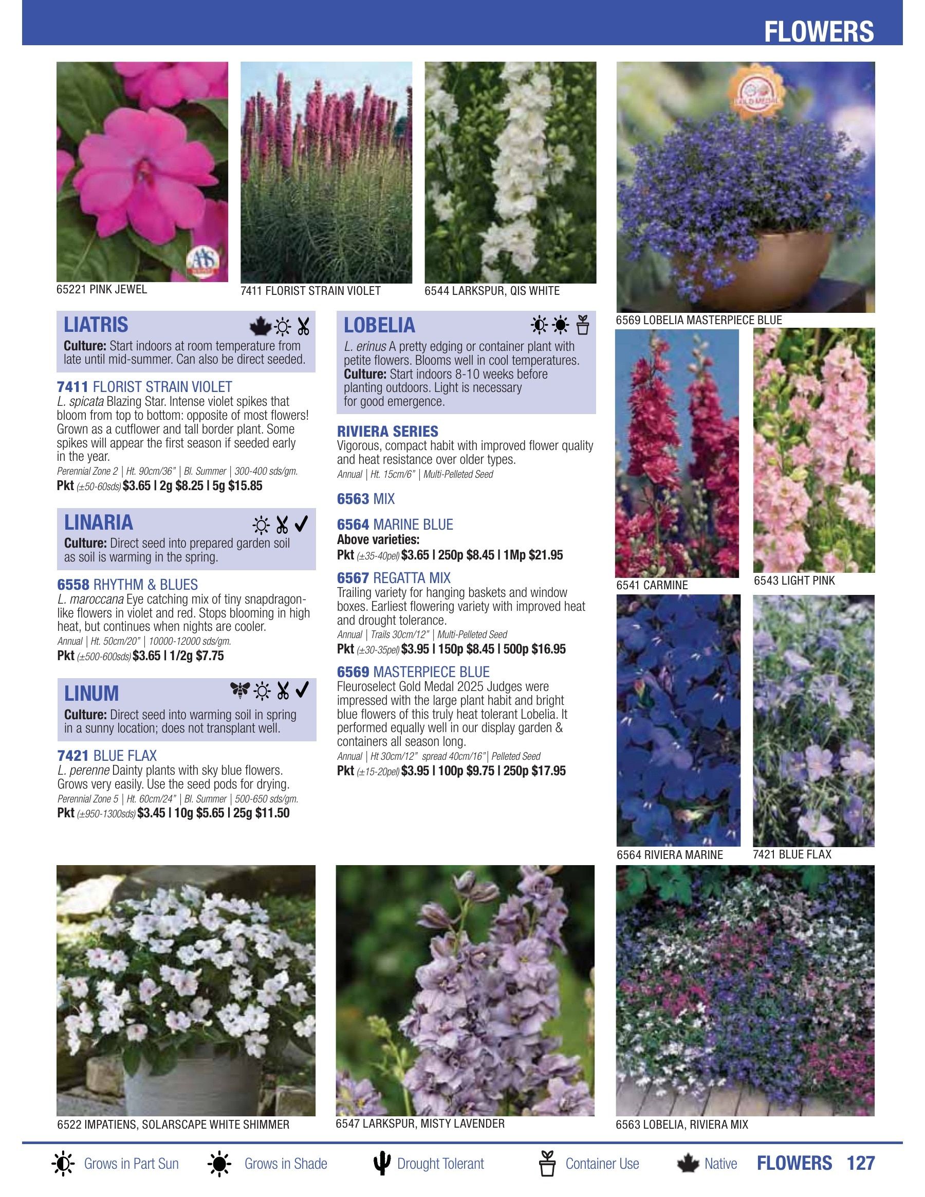 William Dam Seeds Annual Catalog Flyer January 1 - October 31, 2026