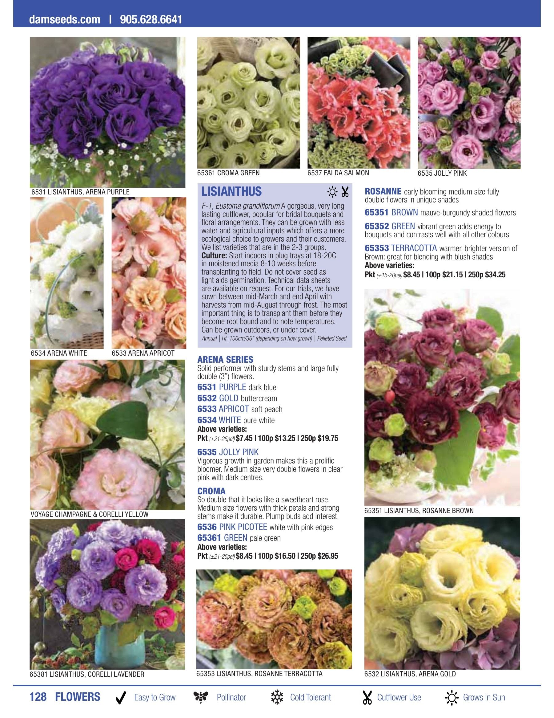 William Dam Seeds Annual Catalog Flyer January 1 - October 31, 2026