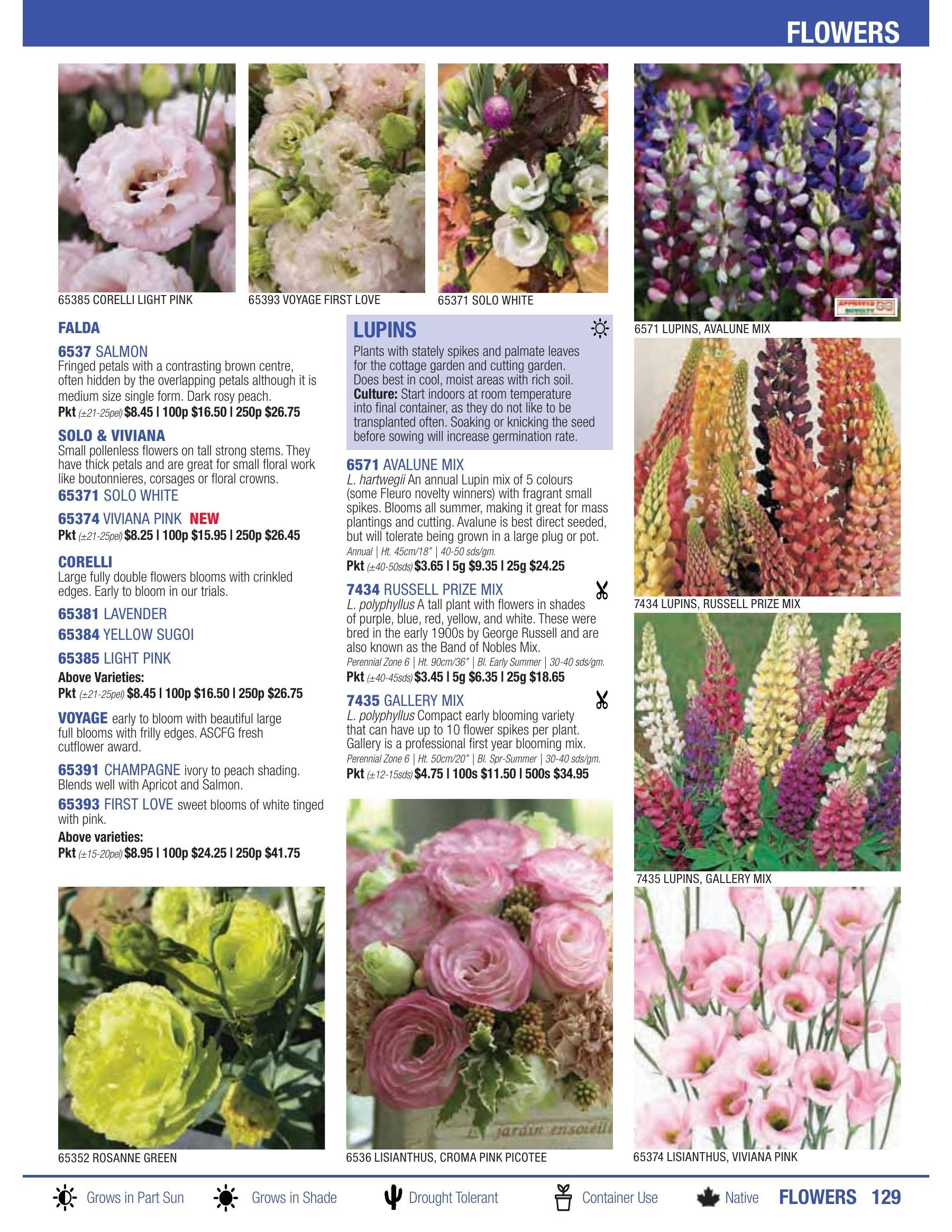 William Dam Seeds Annual Catalog Flyer January 1 - October 31, 2026