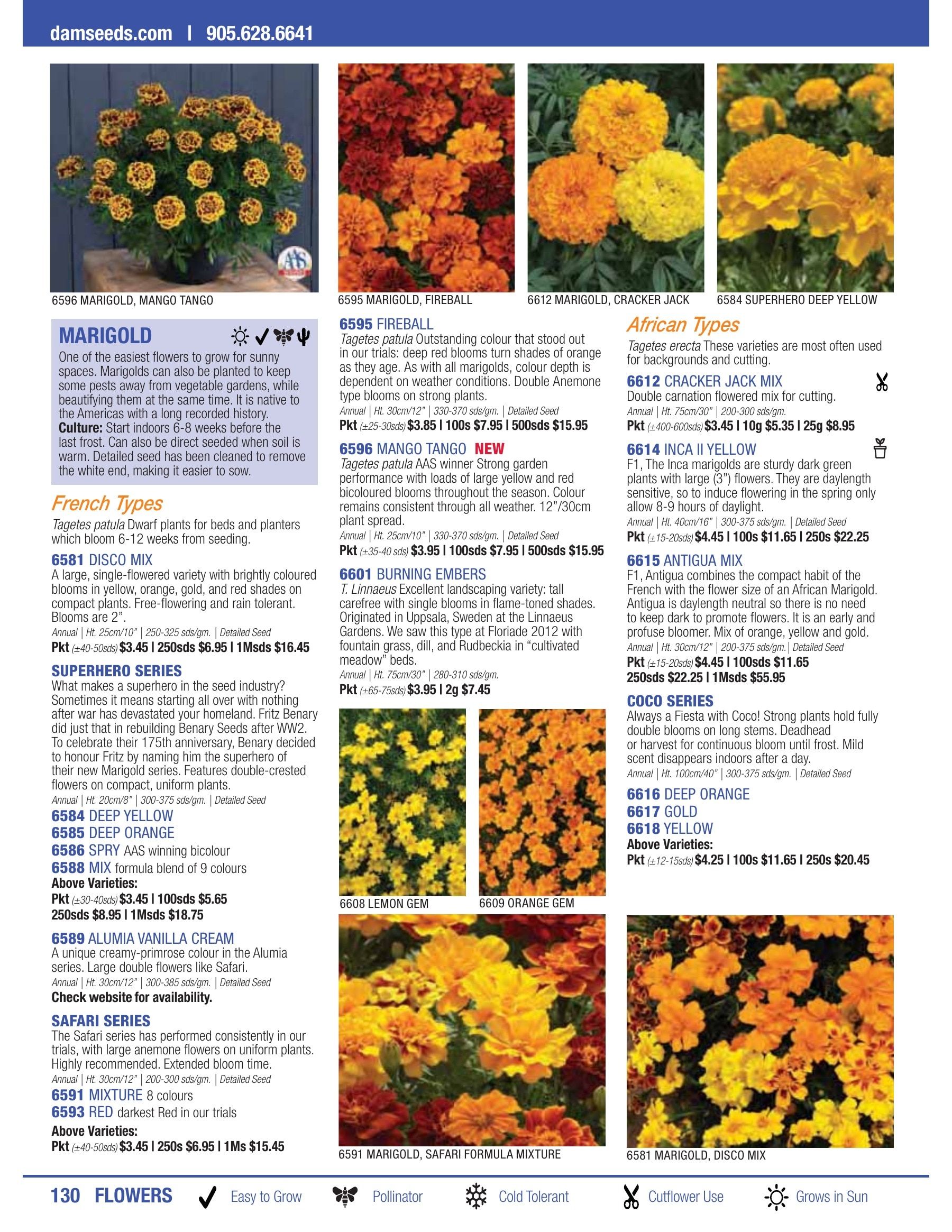 William Dam Seeds Annual Catalog Flyer January 1 - October 31, 2026