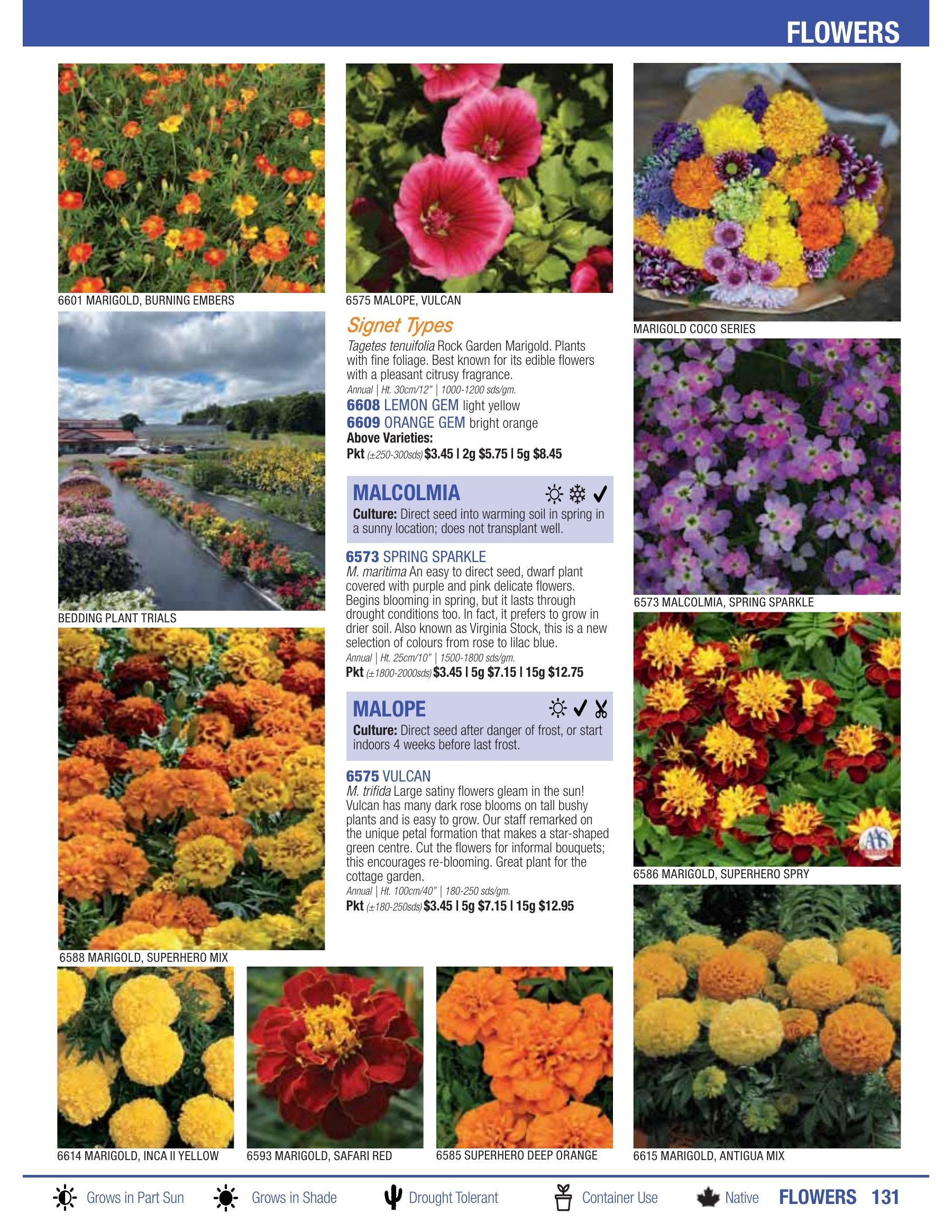 William Dam Seeds Annual Catalog Flyer January 1 - October 31, 2026