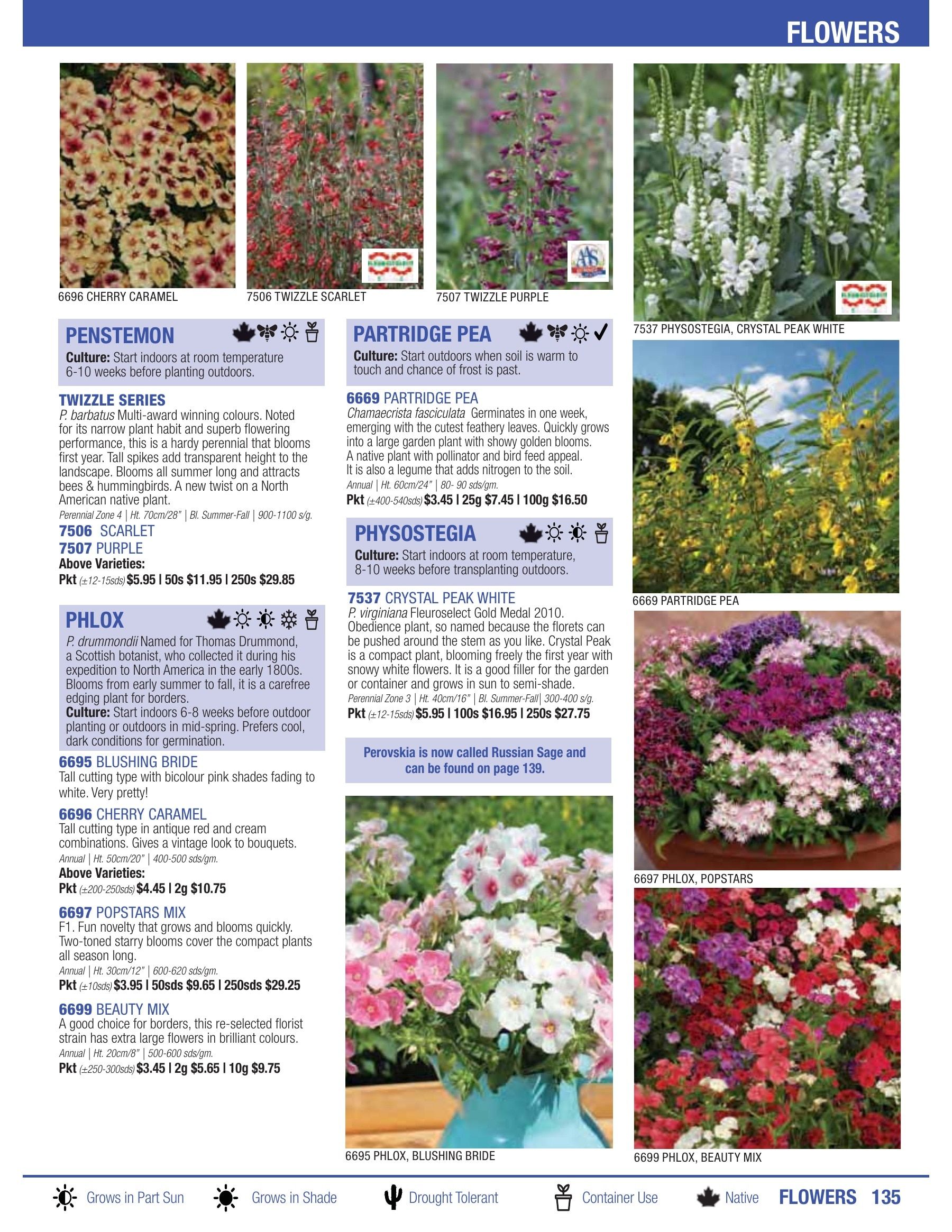 William Dam Seeds Annual Catalog Flyer January 1 - October 31, 2026