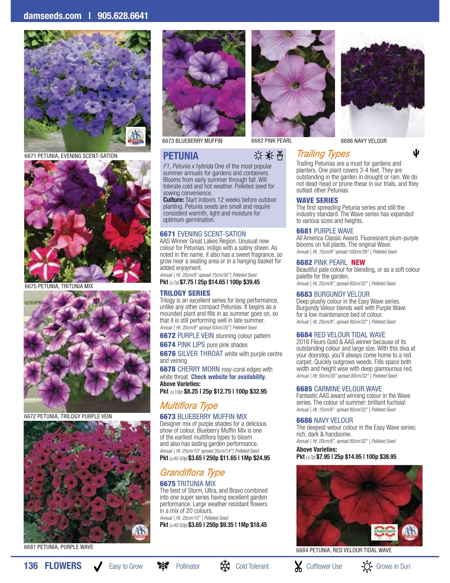 William Dam Seeds Annual Catalog Flyer January 1 - October 31, 2026