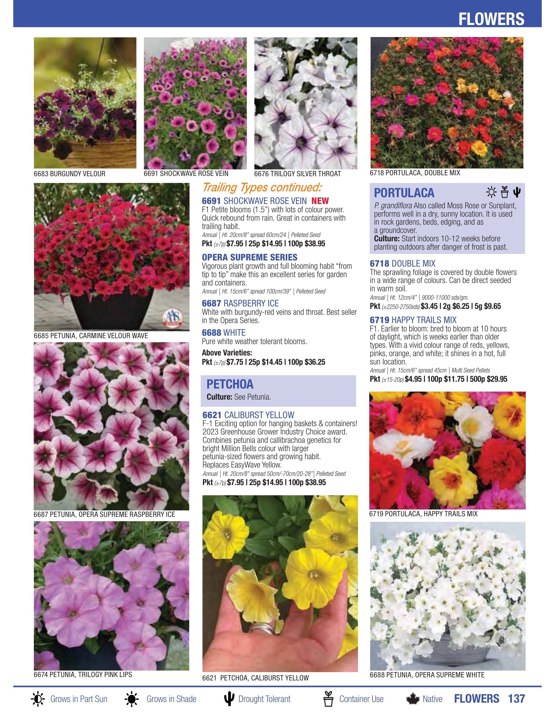 William Dam Seeds Annual Catalog Flyer January 1 - October 31, 2026