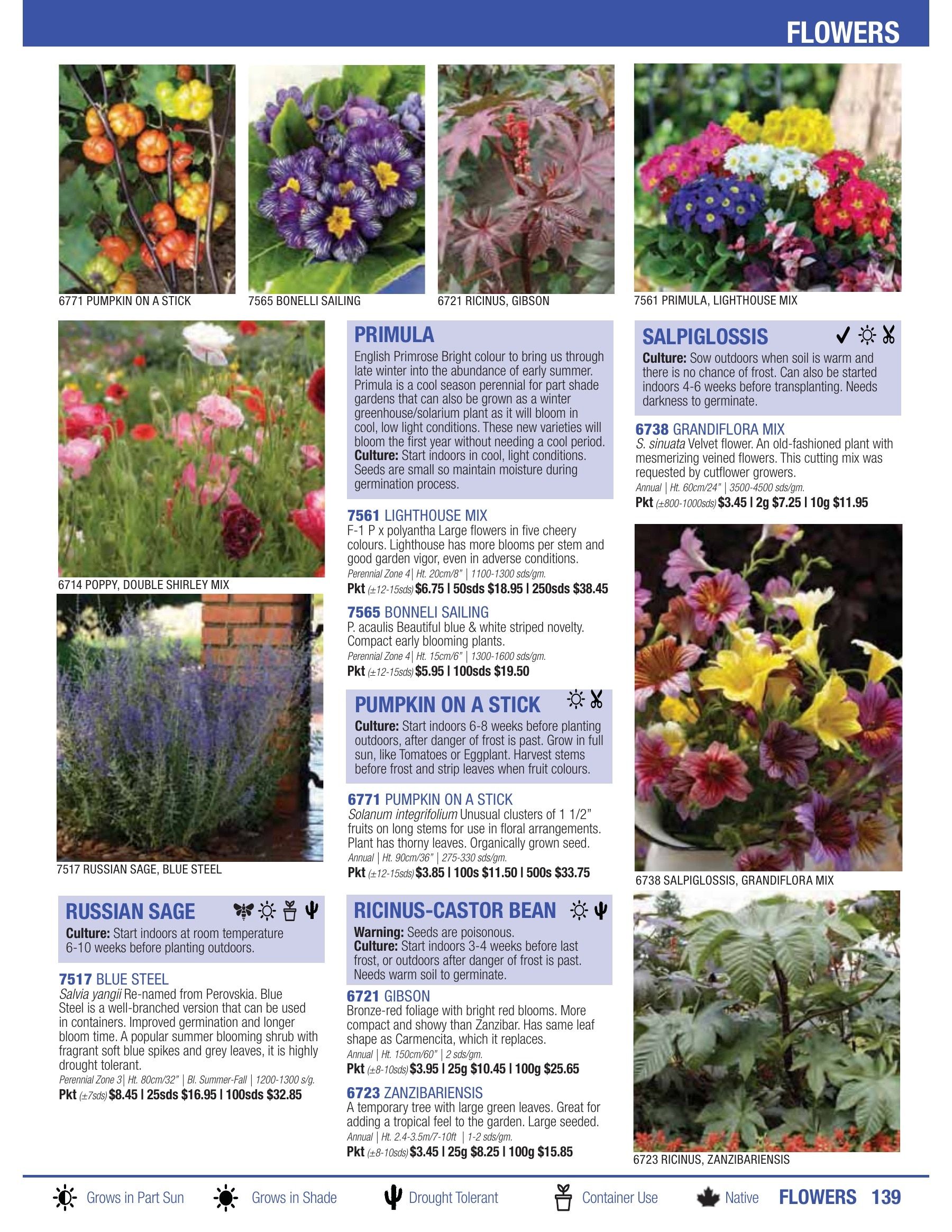 William Dam Seeds Annual Catalog Flyer January 1 - October 31, 2026