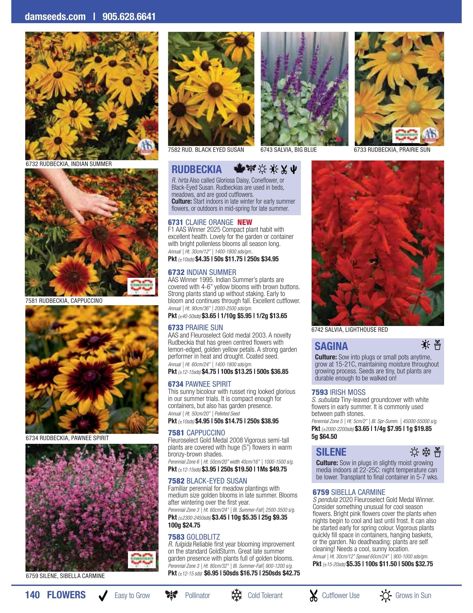 William Dam Seeds Annual Catalog Flyer January 1 - October 31, 2026