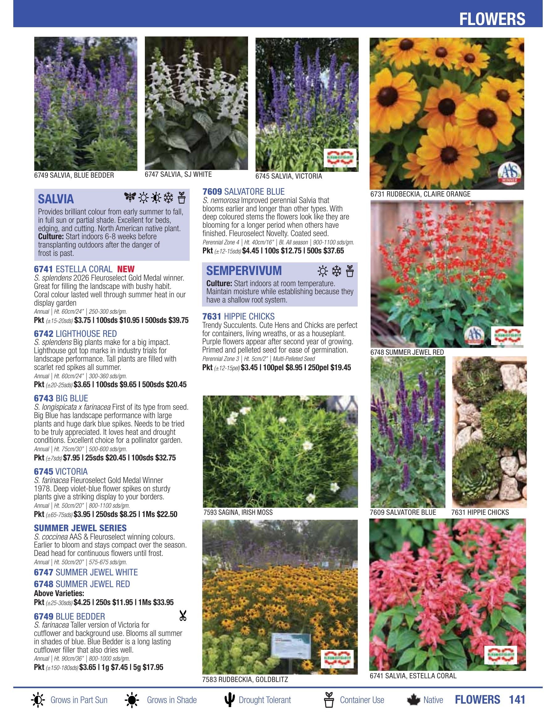 William Dam Seeds Annual Catalog Flyer January 1 - October 31, 2026