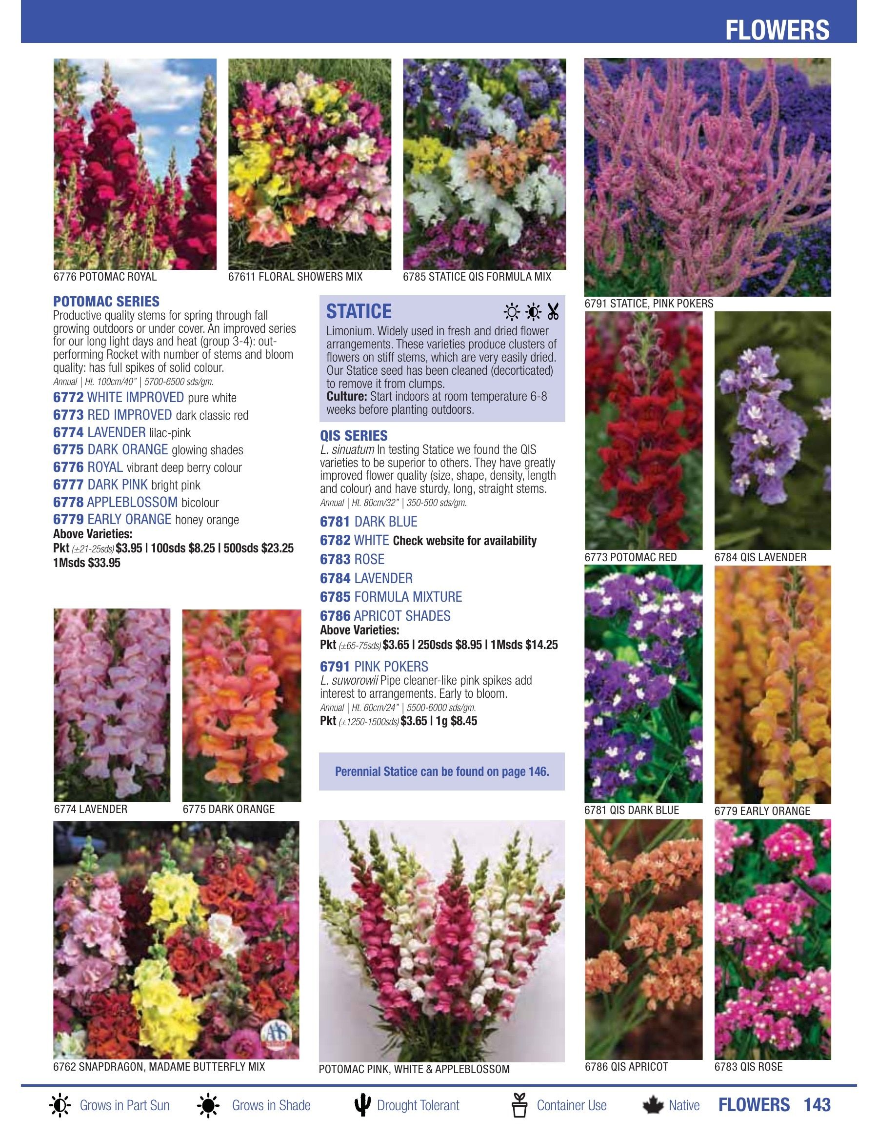 William Dam Seeds Annual Catalog Flyer January 1 - October 31, 2026