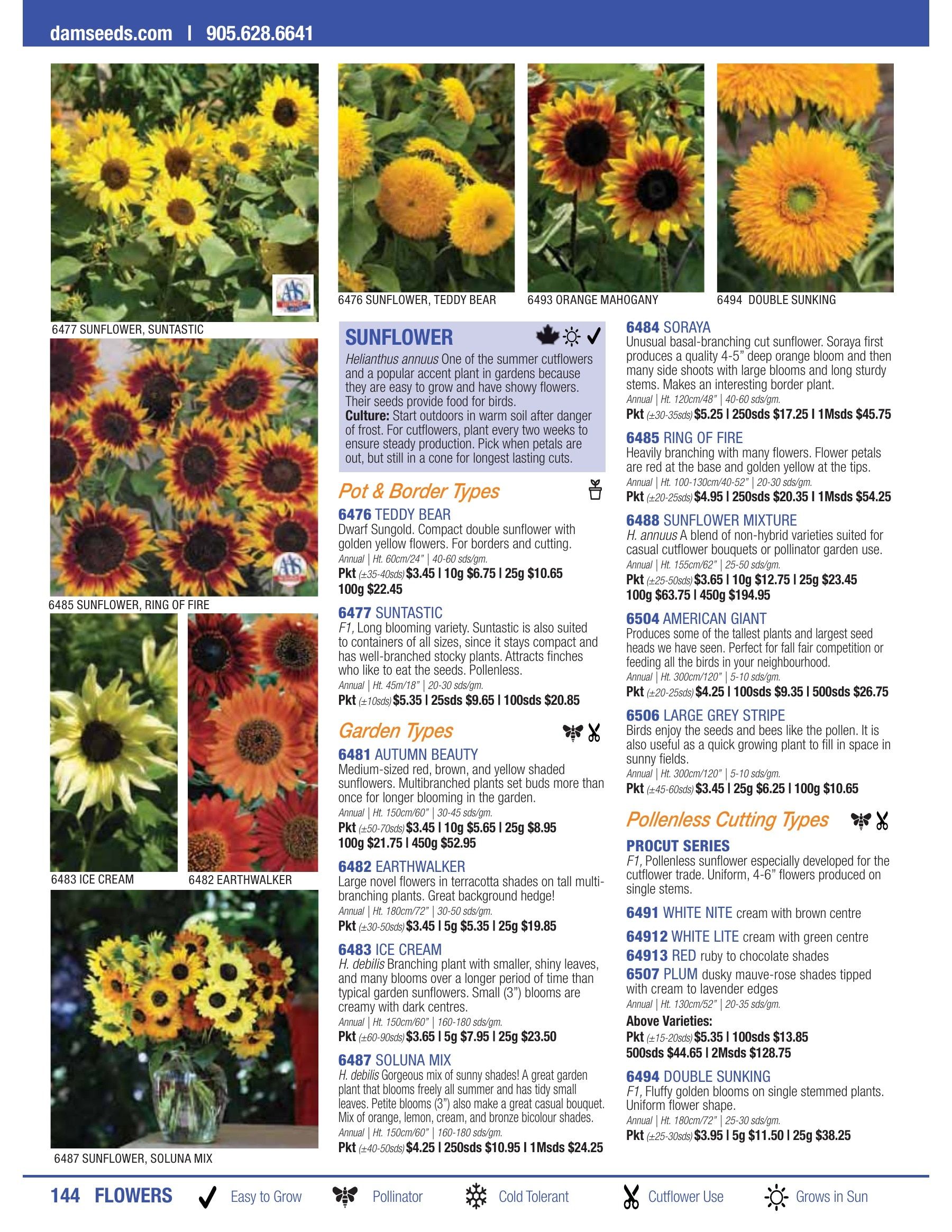 William Dam Seeds Annual Catalog Flyer January 1 - October 31, 2026
