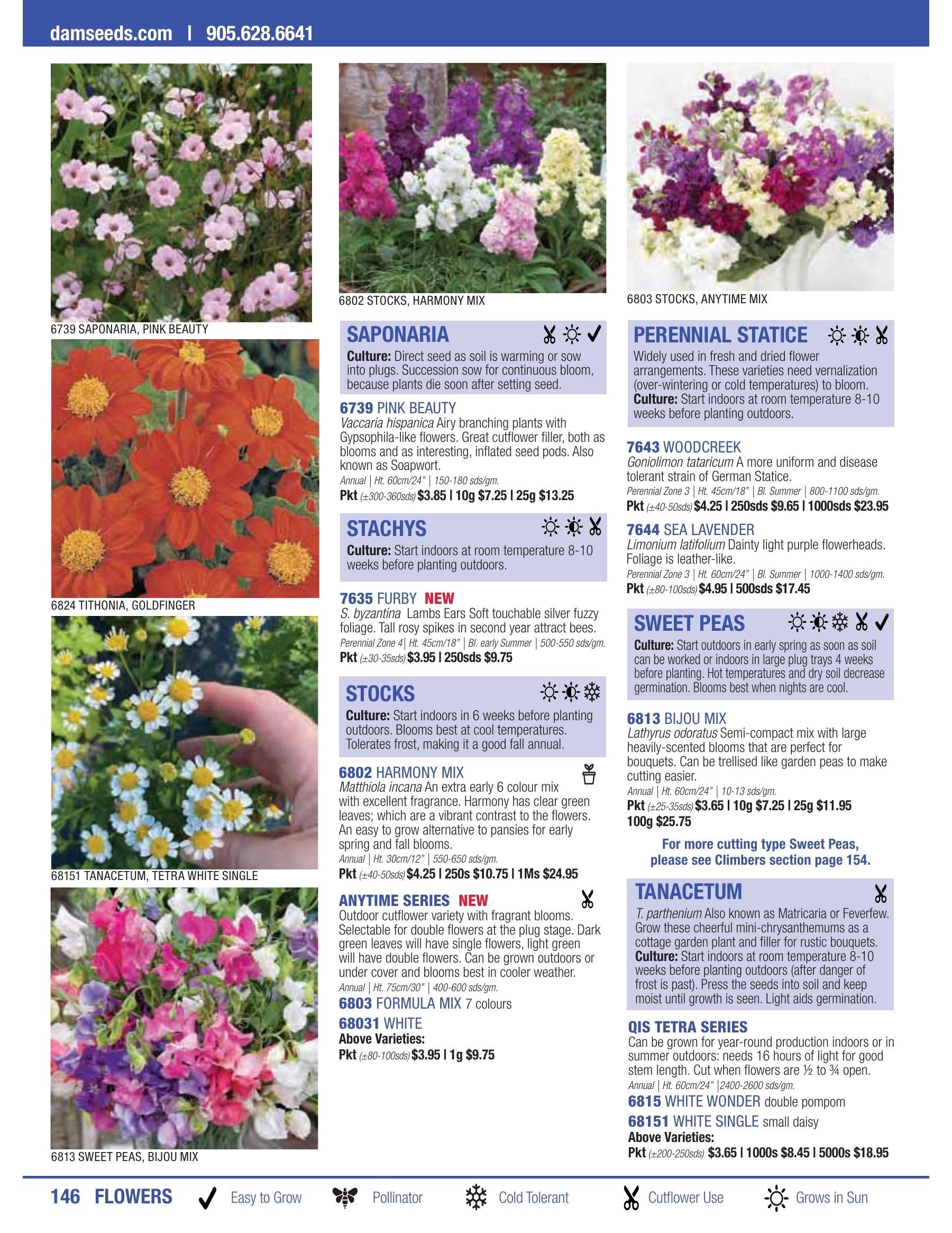 William Dam Seeds Annual Catalog Flyer January 1 - October 31, 2026