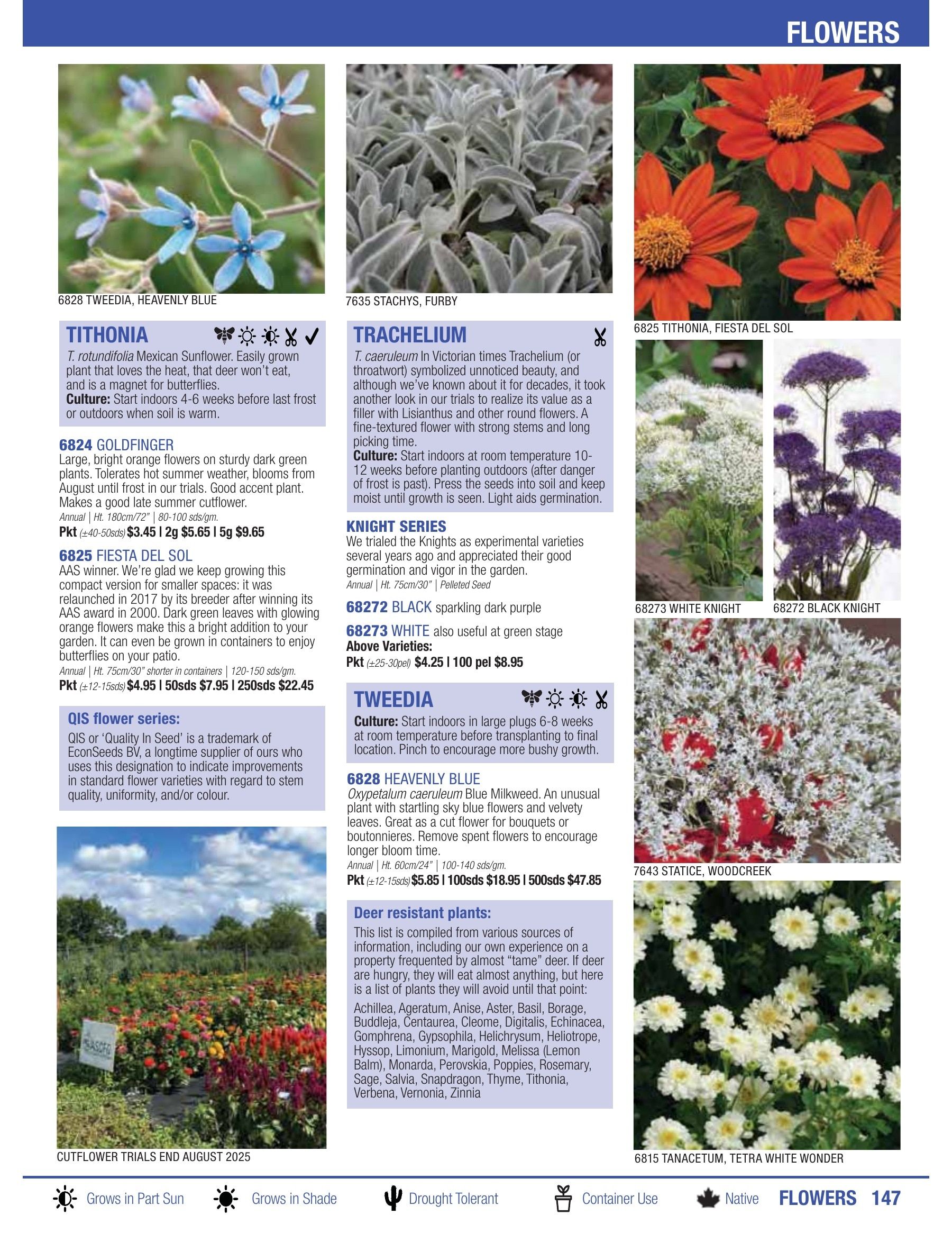 William Dam Seeds Annual Catalog Flyer January 1 - October 31, 2026