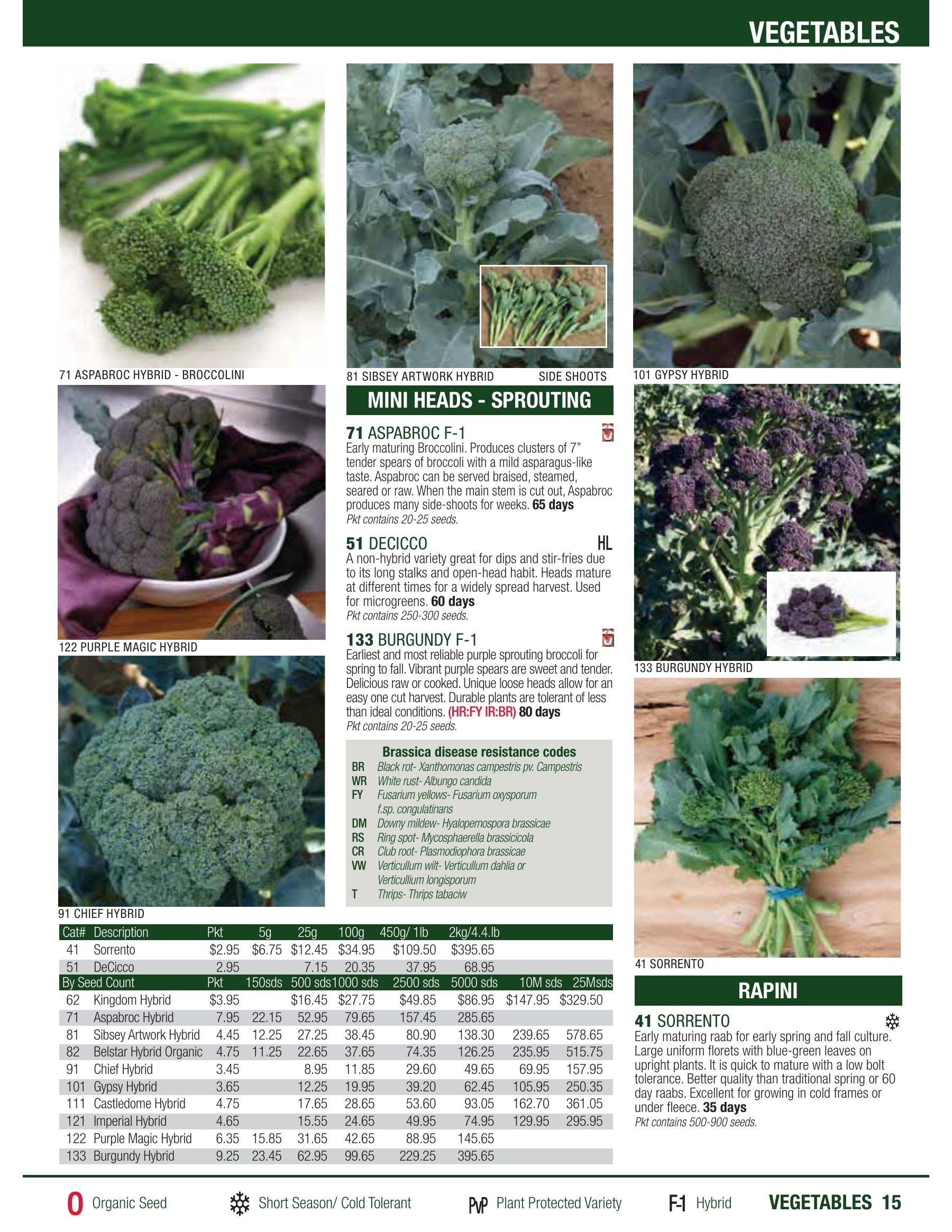 William Dam Seeds Annual Catalog Flyer January 1 - October 31, 2026