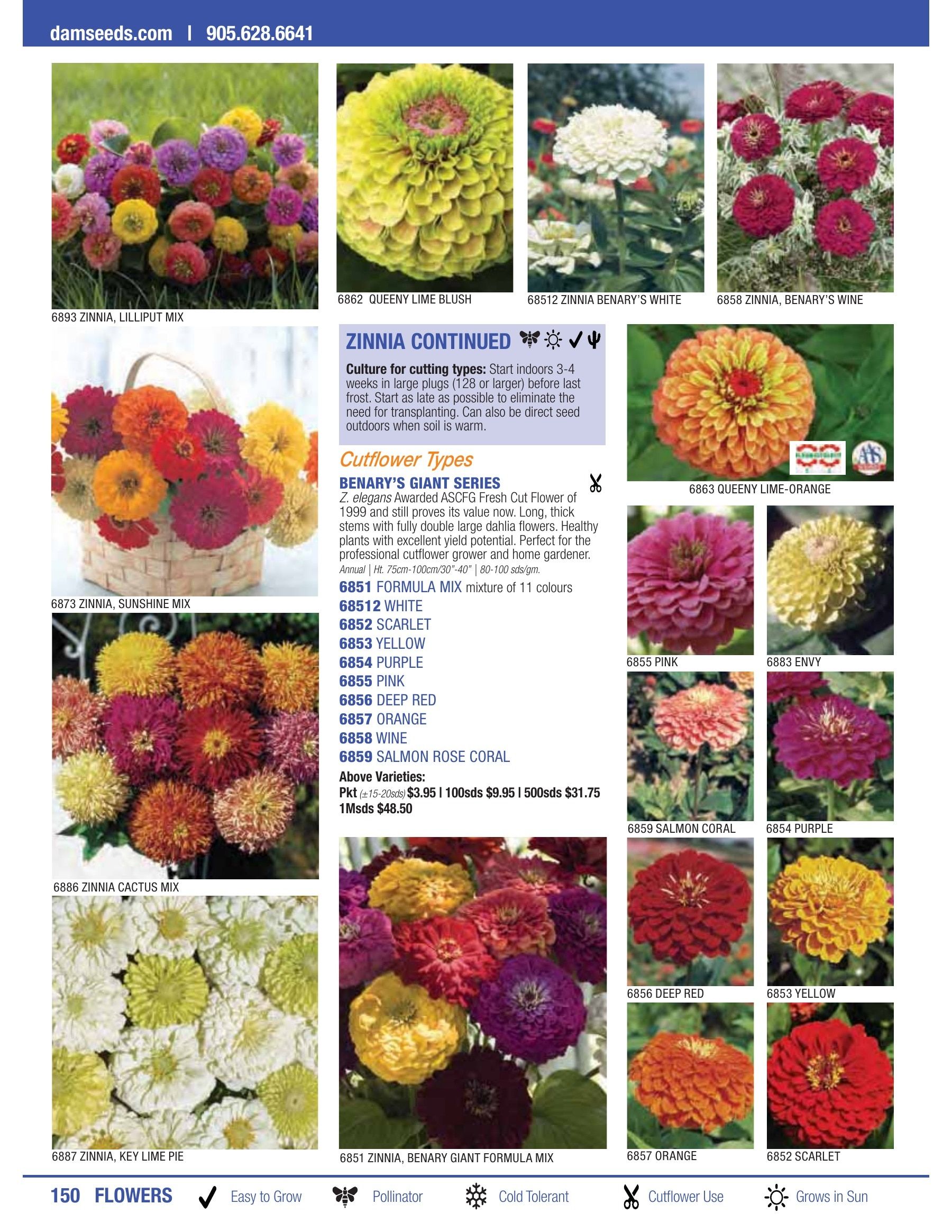 William Dam Seeds Annual Catalog Flyer January 1 - October 31, 2026