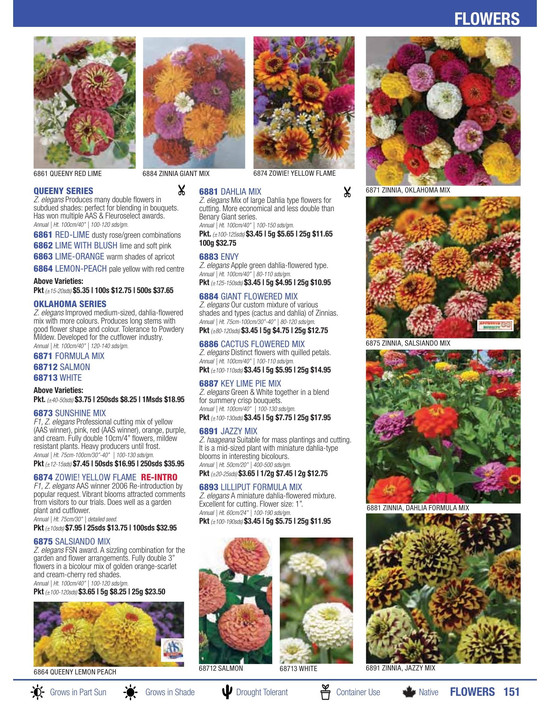William Dam Seeds Annual Catalog Flyer January 1 - October 31, 2026