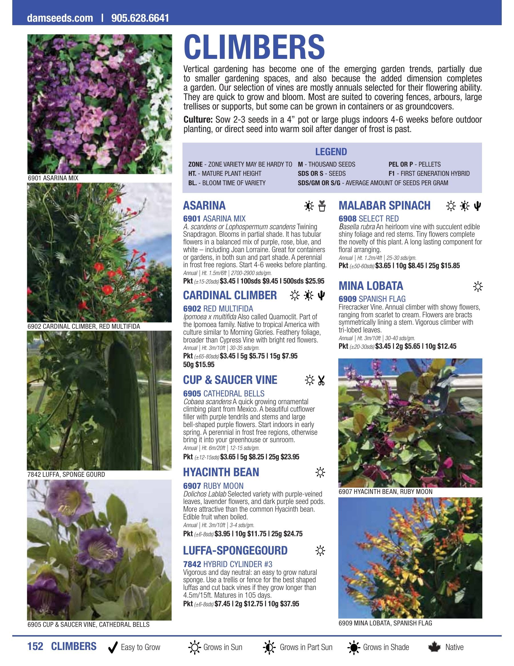 William Dam Seeds Annual Catalog Flyer January 1 - October 31, 2026
