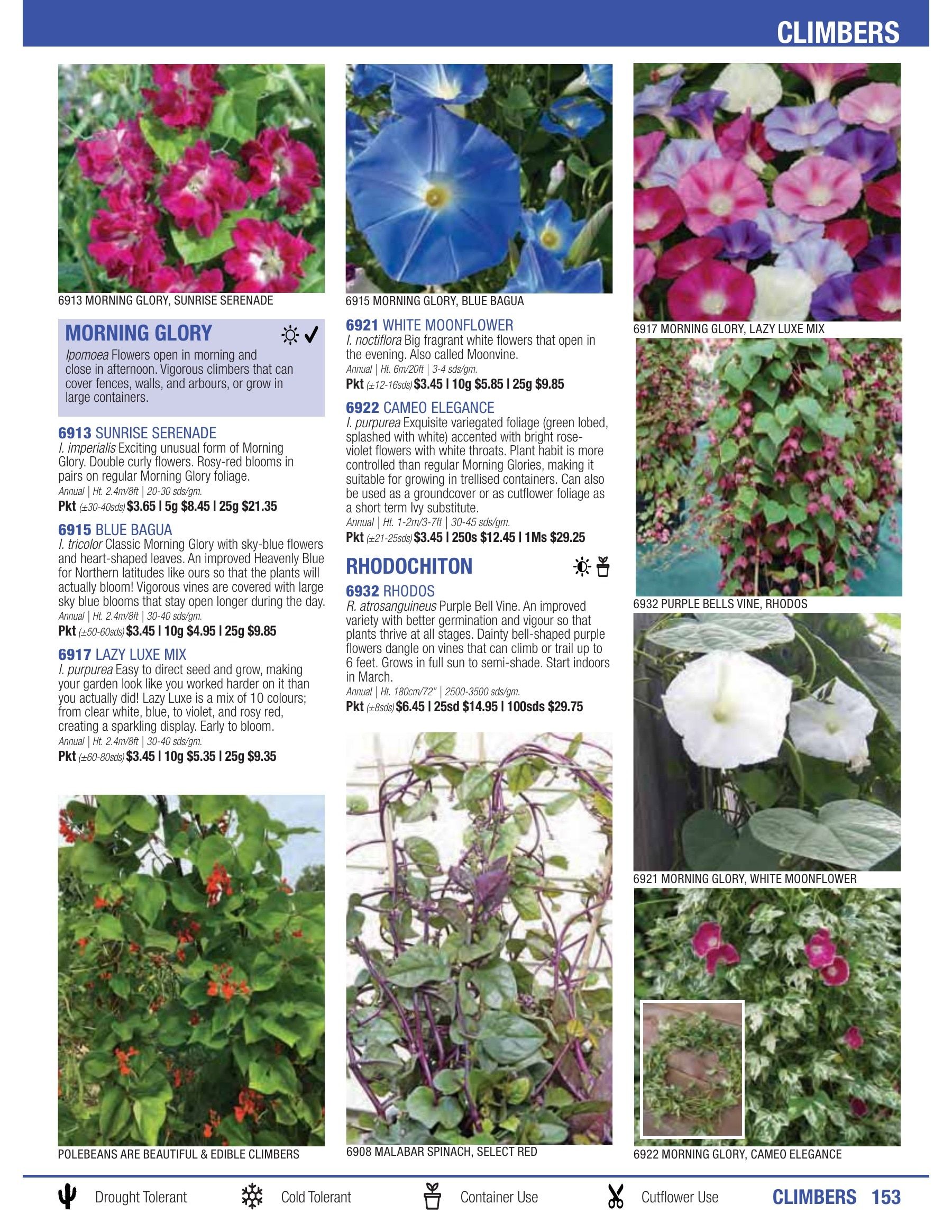 William Dam Seeds Annual Catalog Flyer January 1 - October 31, 2026