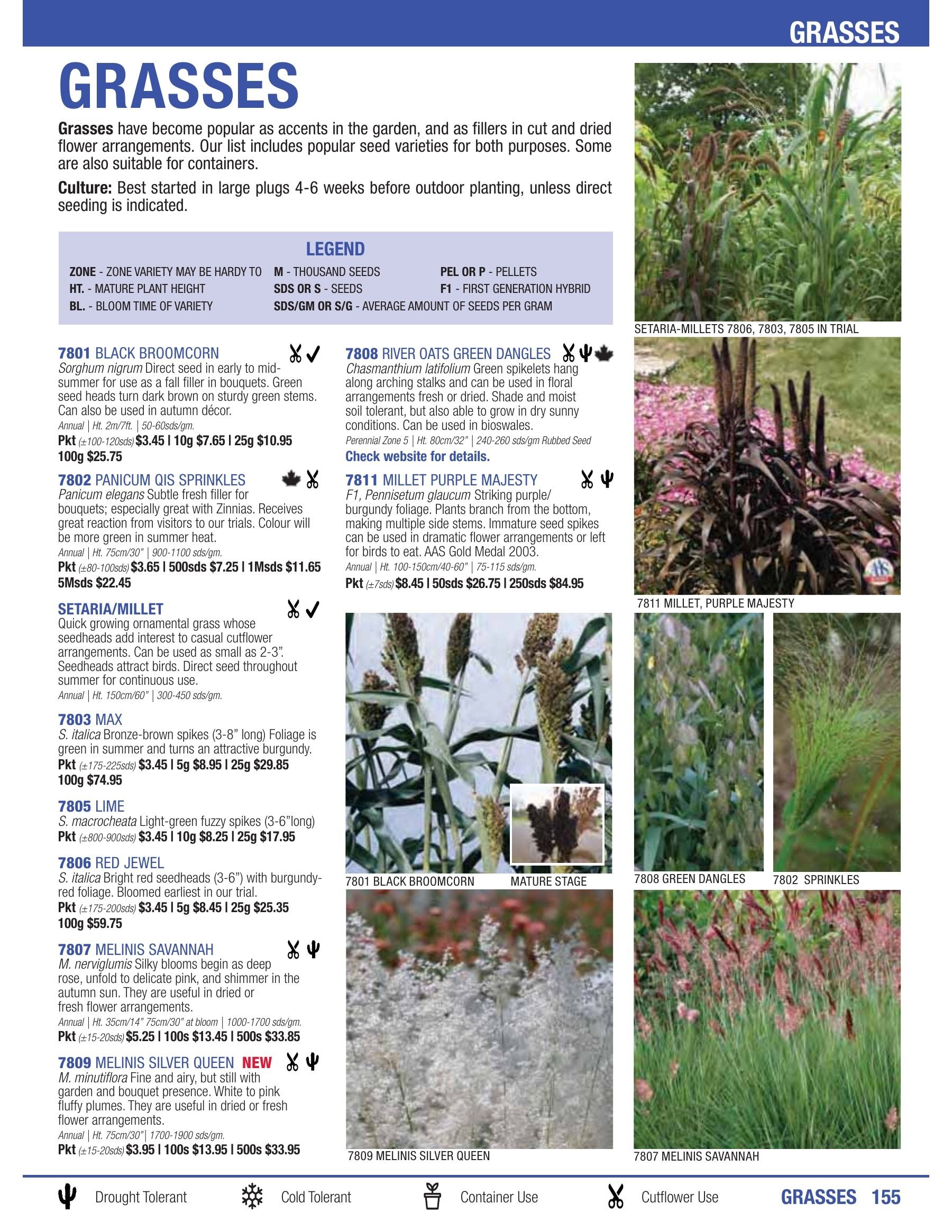 William Dam Seeds Annual Catalog Flyer January 1 - October 31, 2026
