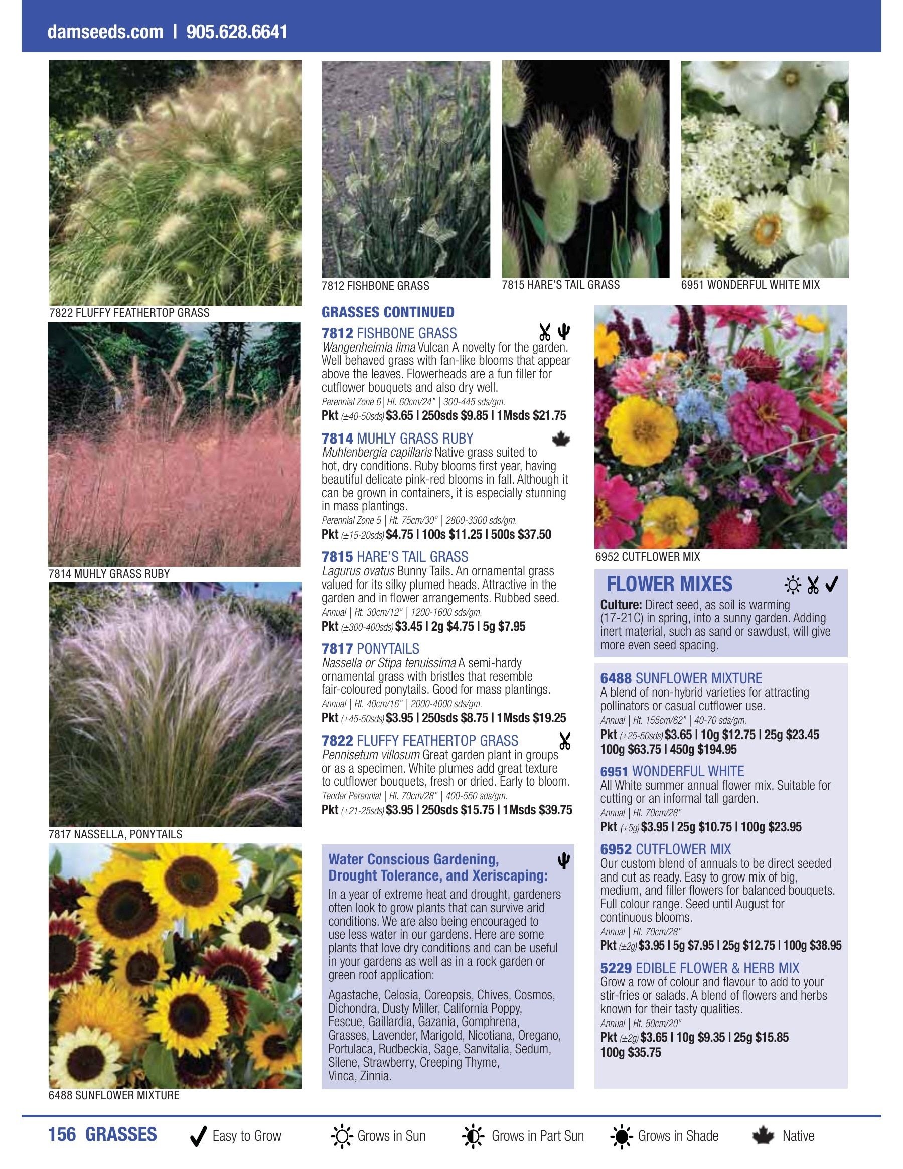 William Dam Seeds Annual Catalog Flyer January 1 - October 31, 2026