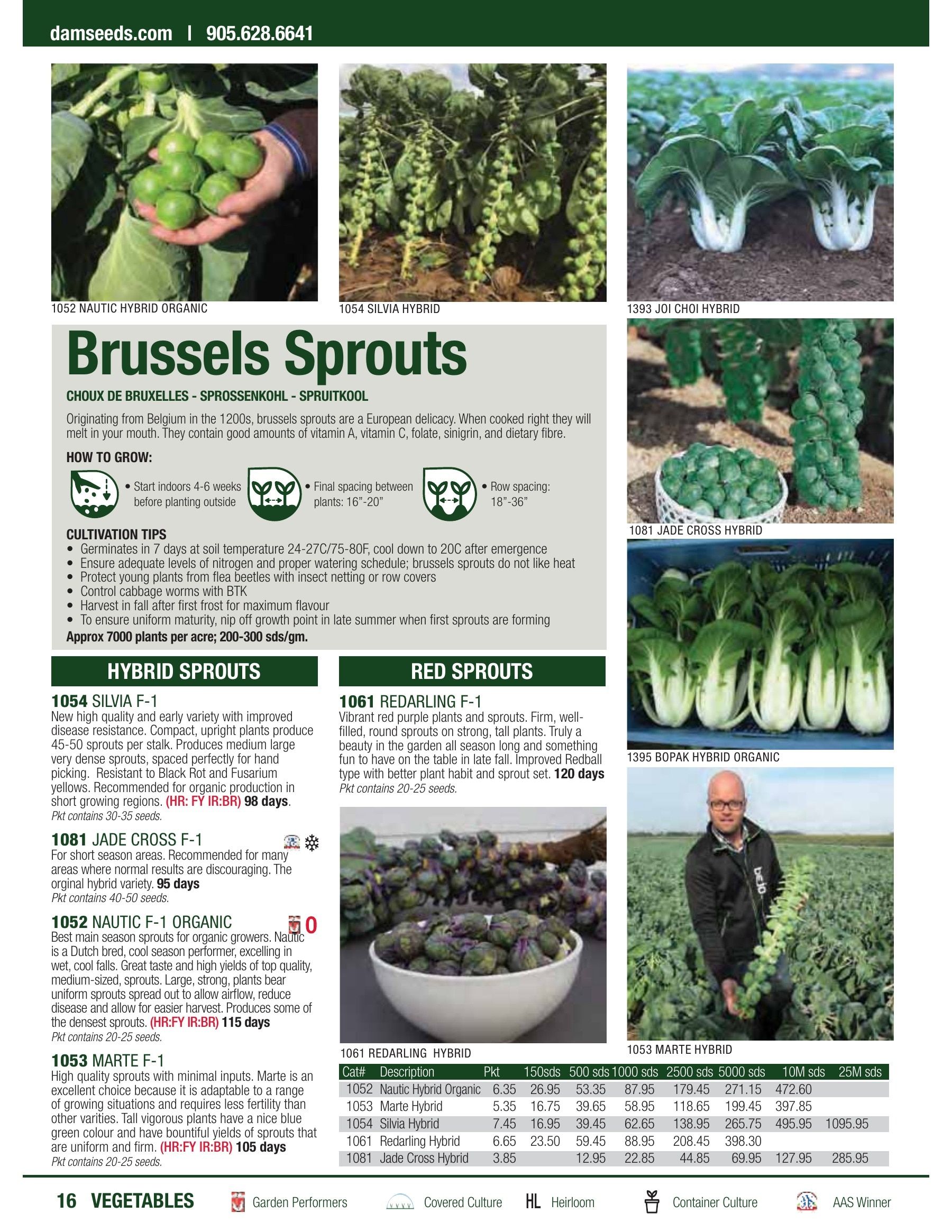 William Dam Seeds Annual Catalog Flyer January 1 - October 31, 2026