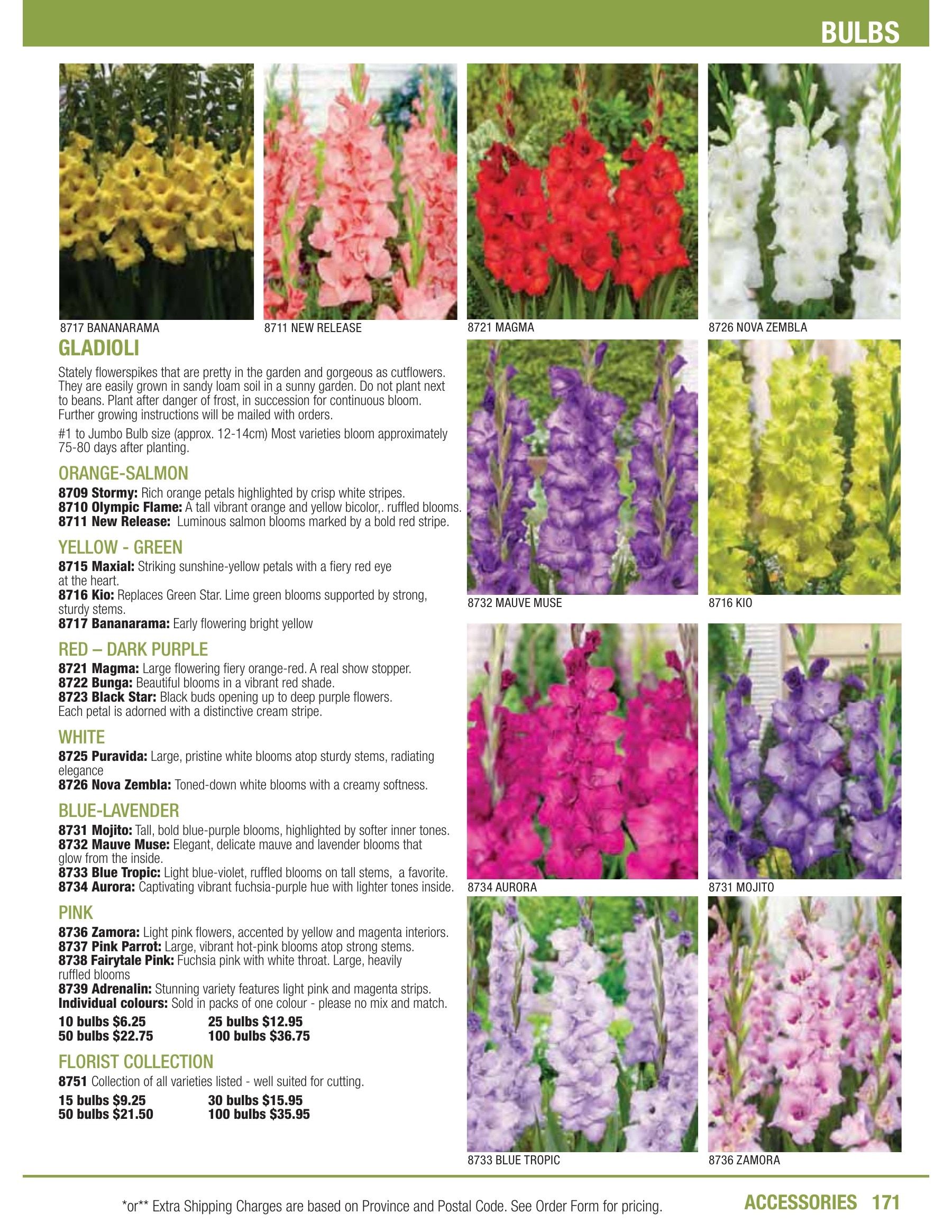 William Dam Seeds Annual Catalog Flyer January 1 - October 31, 2026