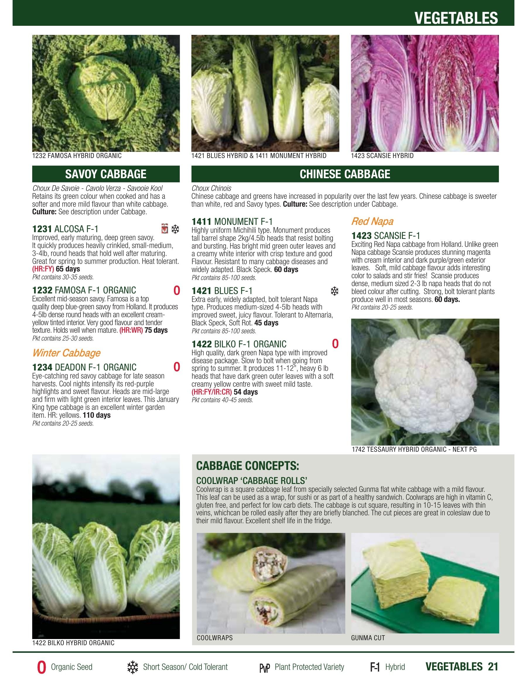 William Dam Seeds Annual Catalog Flyer January 1 - October 31, 2026