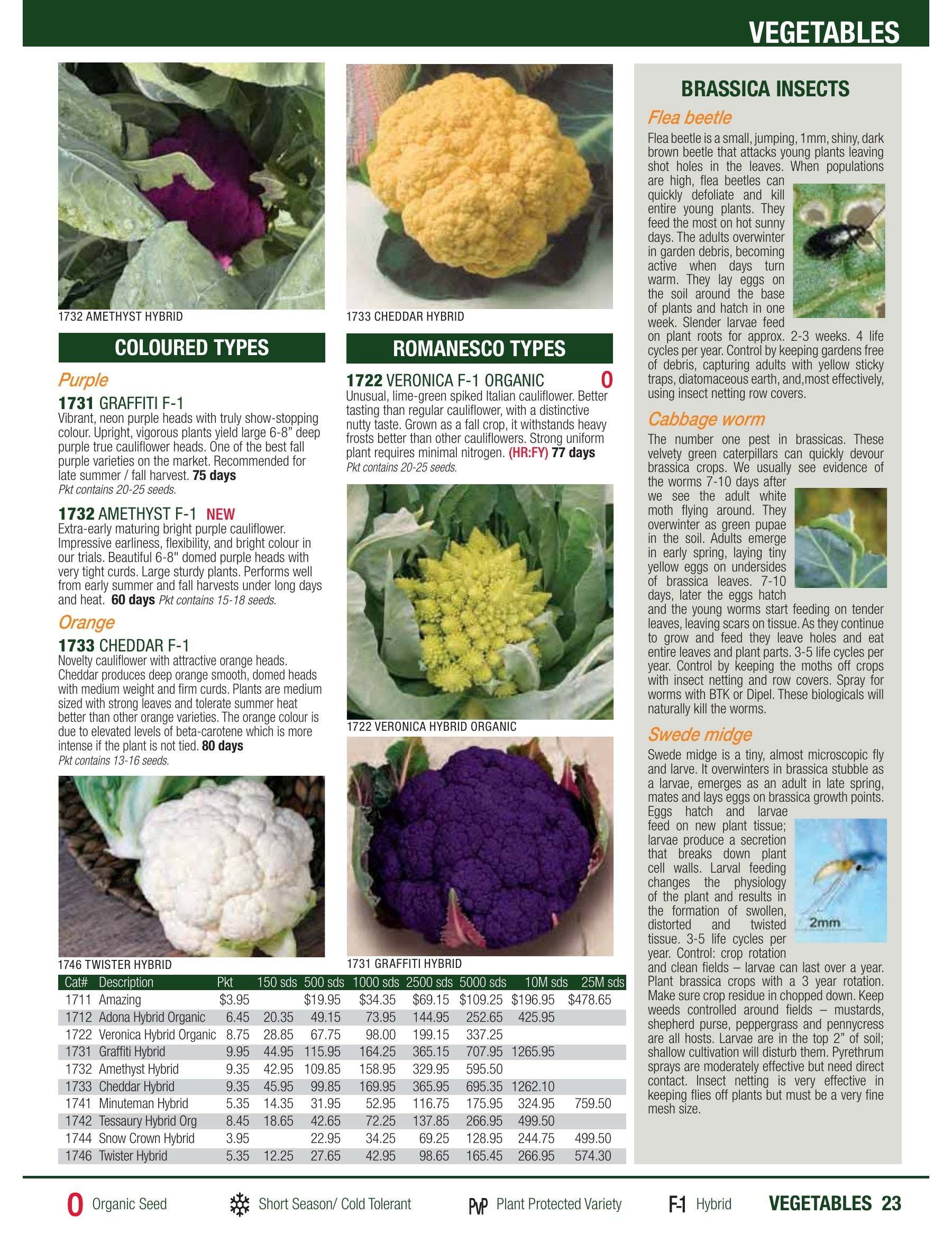William Dam Seeds Annual Catalog Flyer January 1 - October 31, 2026