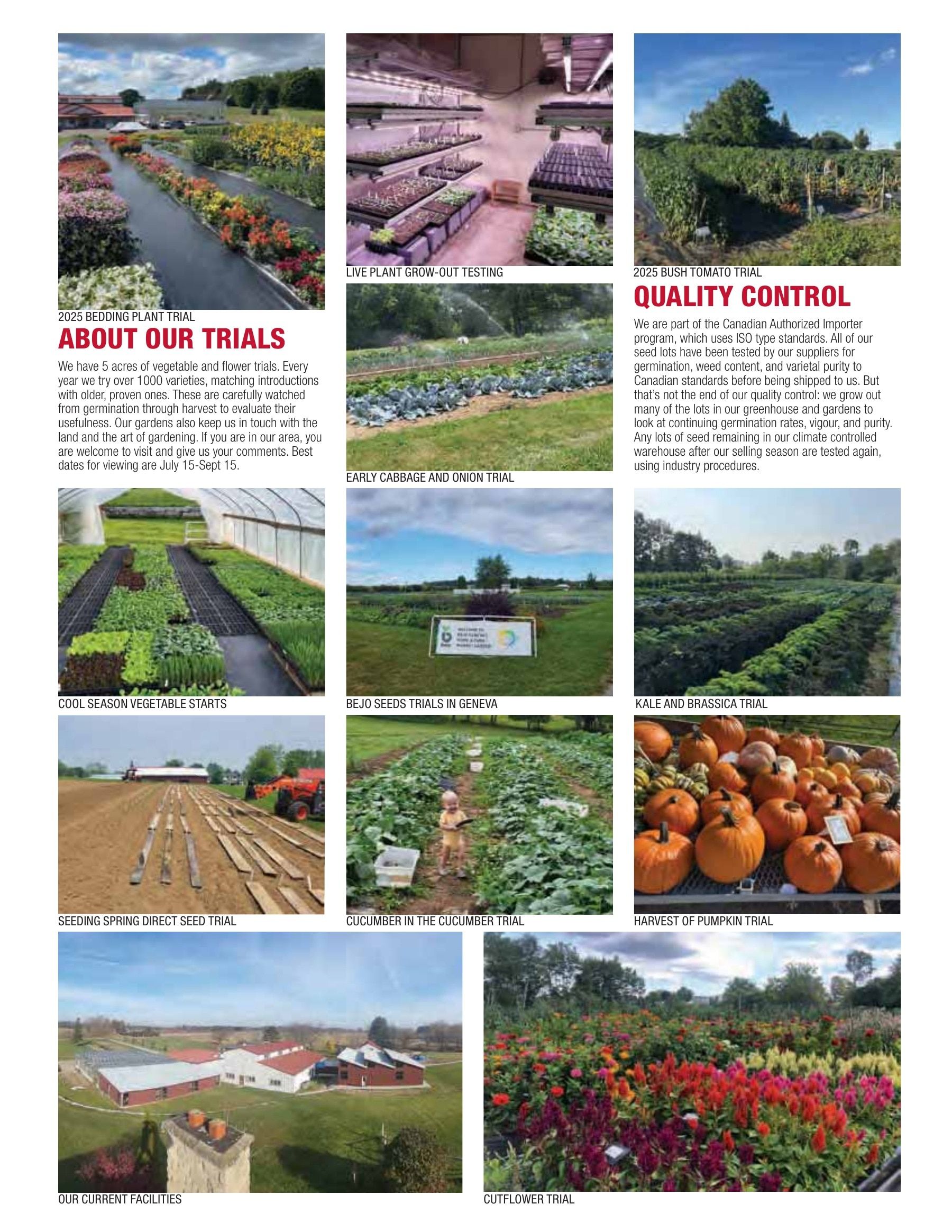 William Dam Seeds Annual Catalog Flyer January 1 - October 31, 2026