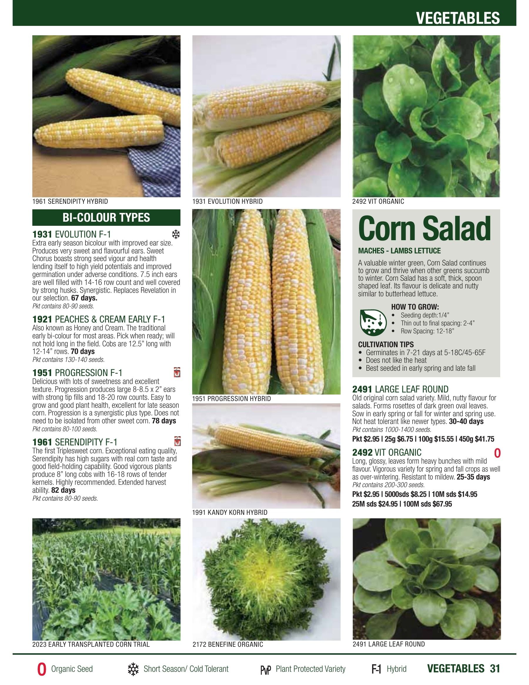 William Dam Seeds Annual Catalog Flyer January 1 - October 31, 2026
