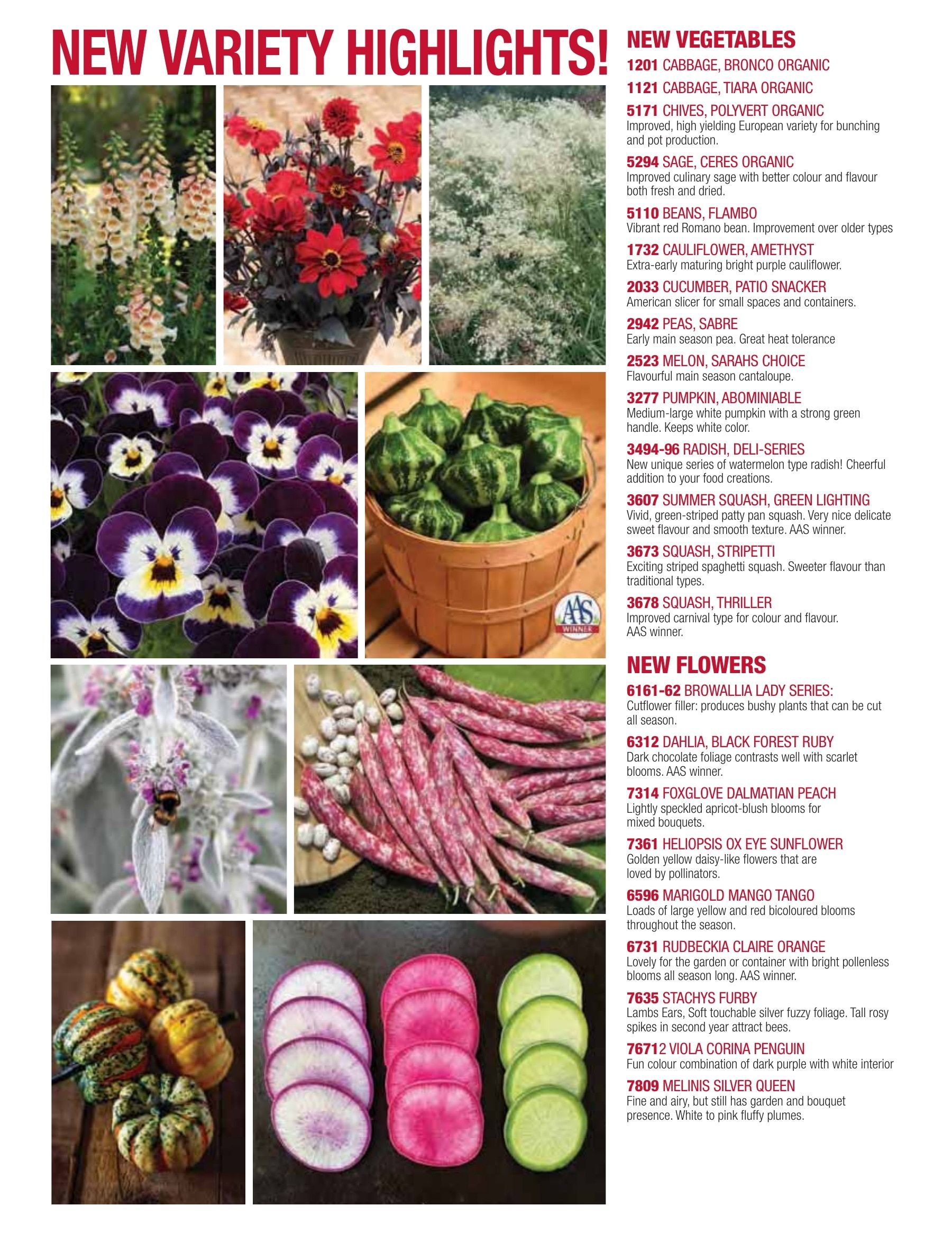 William Dam Seeds Annual Catalog Flyer January 1 - October 31, 2026
