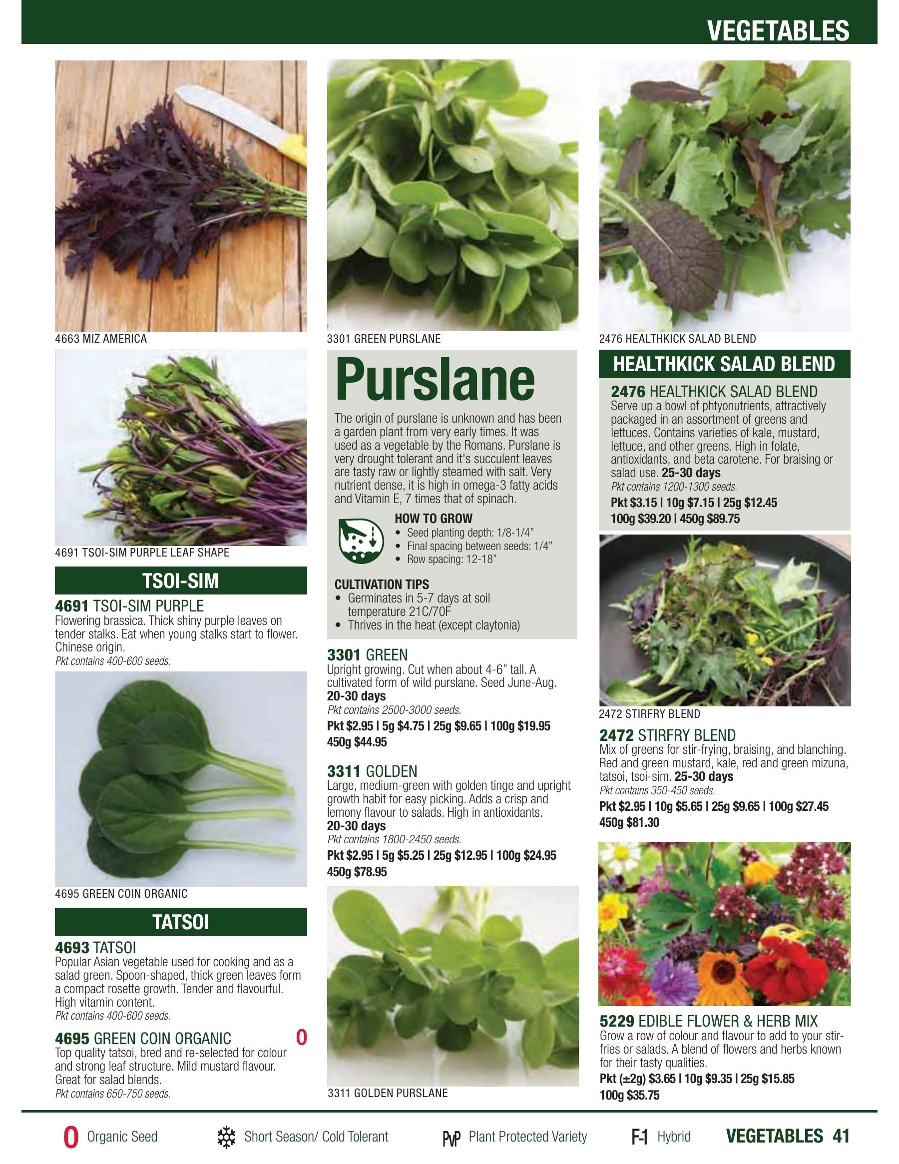 William Dam Seeds Annual Catalog Flyer January 1 - October 31, 2026