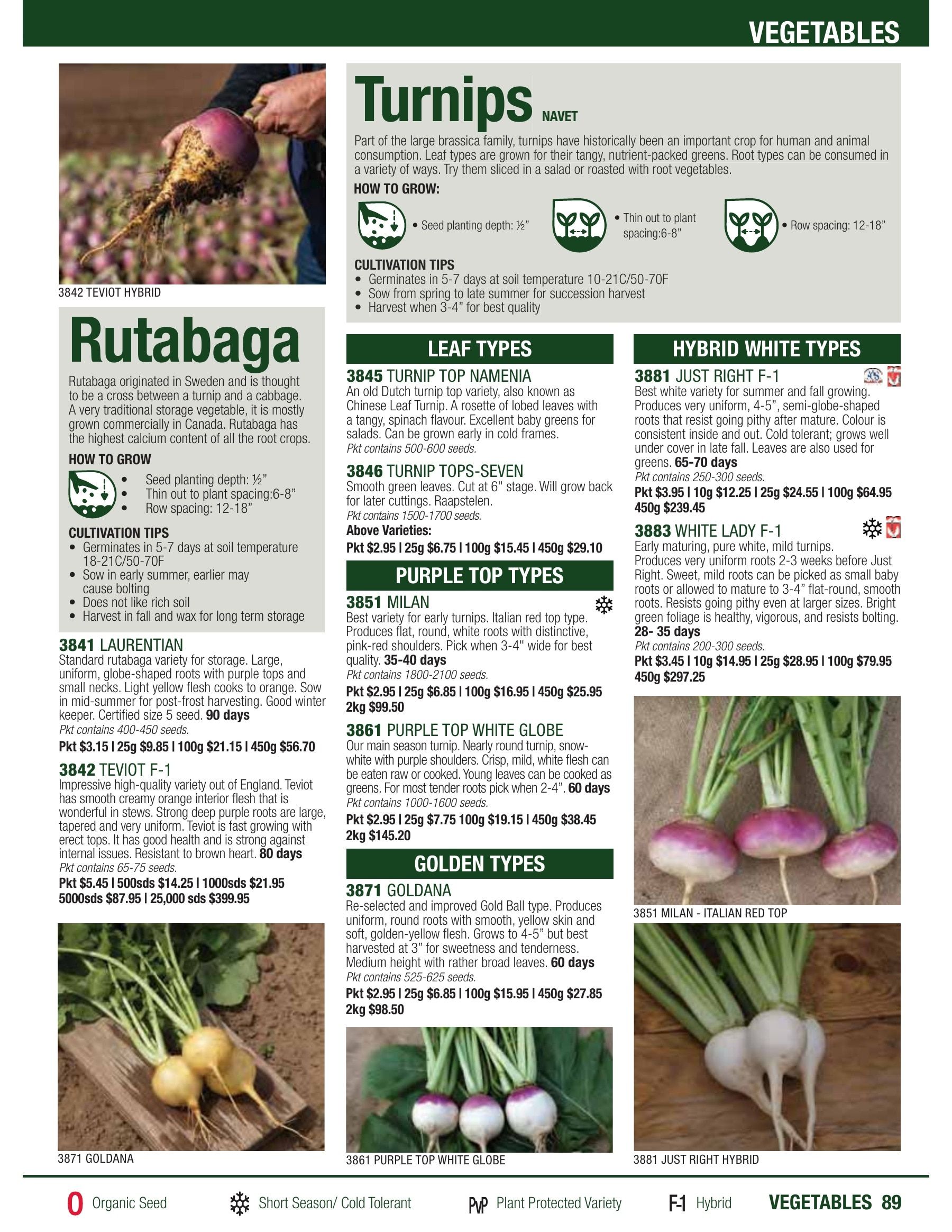 William Dam Seeds Annual Catalog Flyer January 1 - October 31, 2026