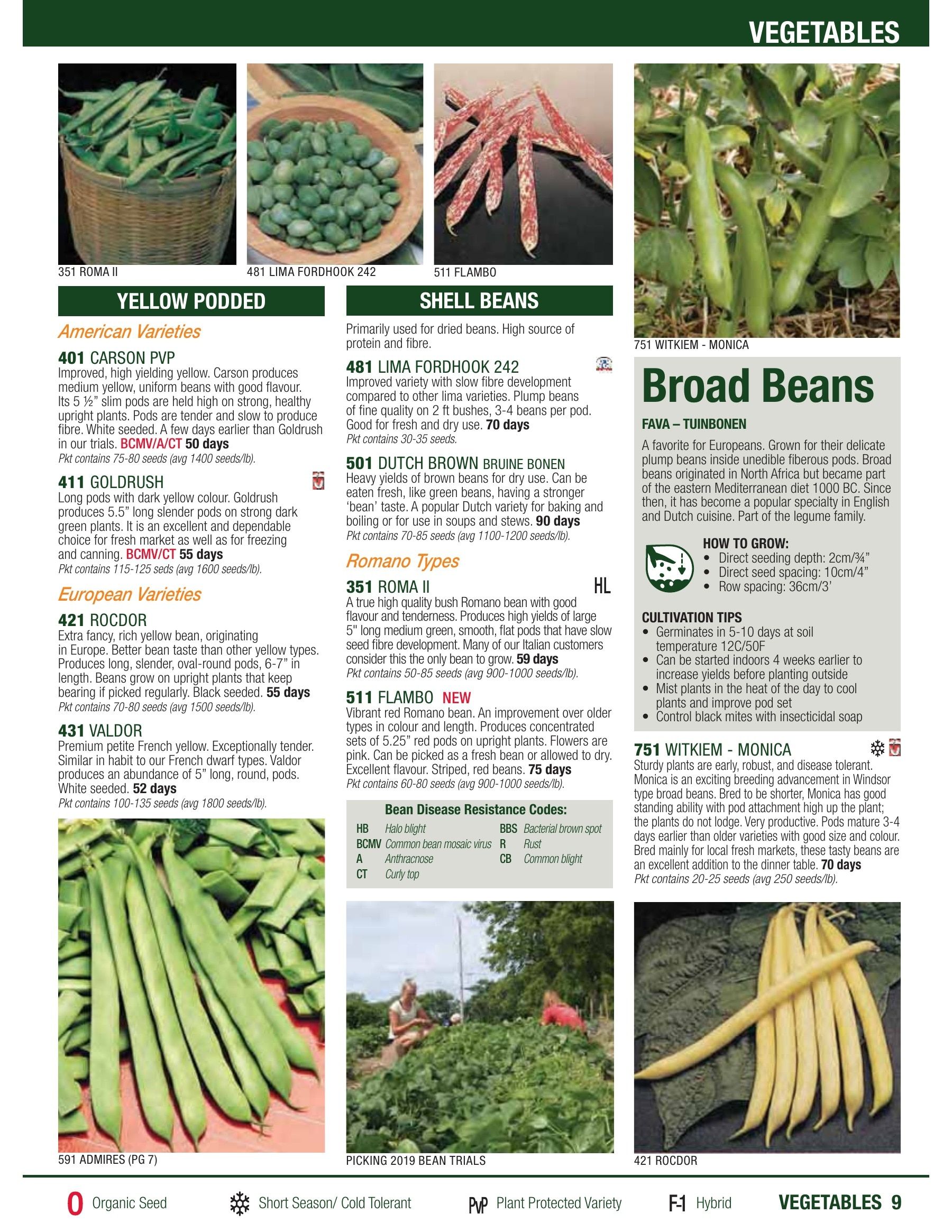 William Dam Seeds Annual Catalog Flyer January 1 - October 31, 2026