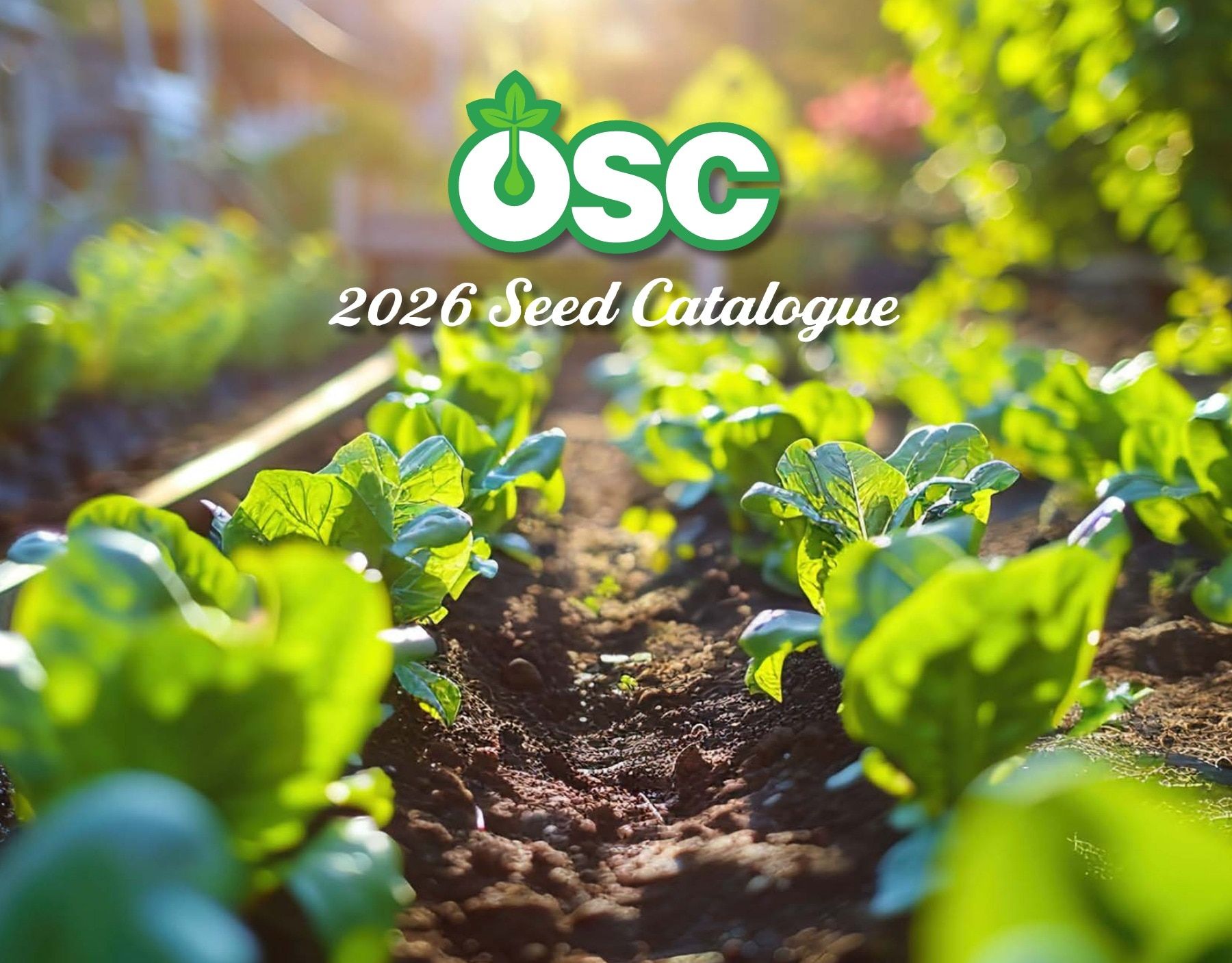 OSC Seeds Annual Catalog Flyer January 1 - December 31, 2026