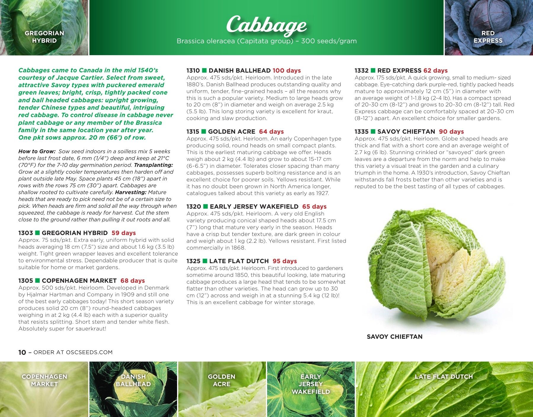 OSC Seeds Annual Catalog Flyer January 1 - December 31, 2026